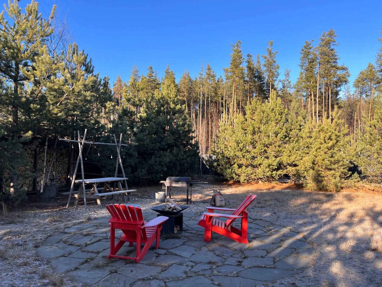 Фото Дача в соснах