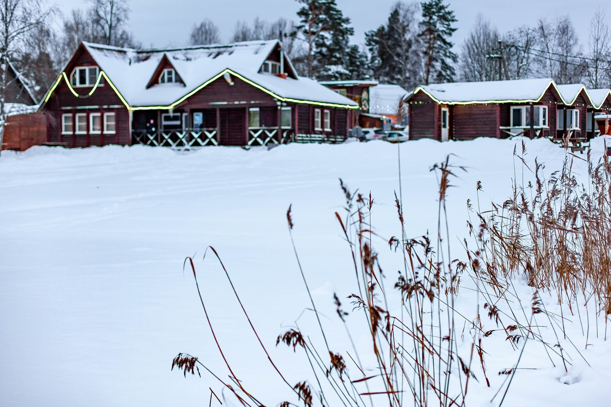 Фото Плотвичкина заводь