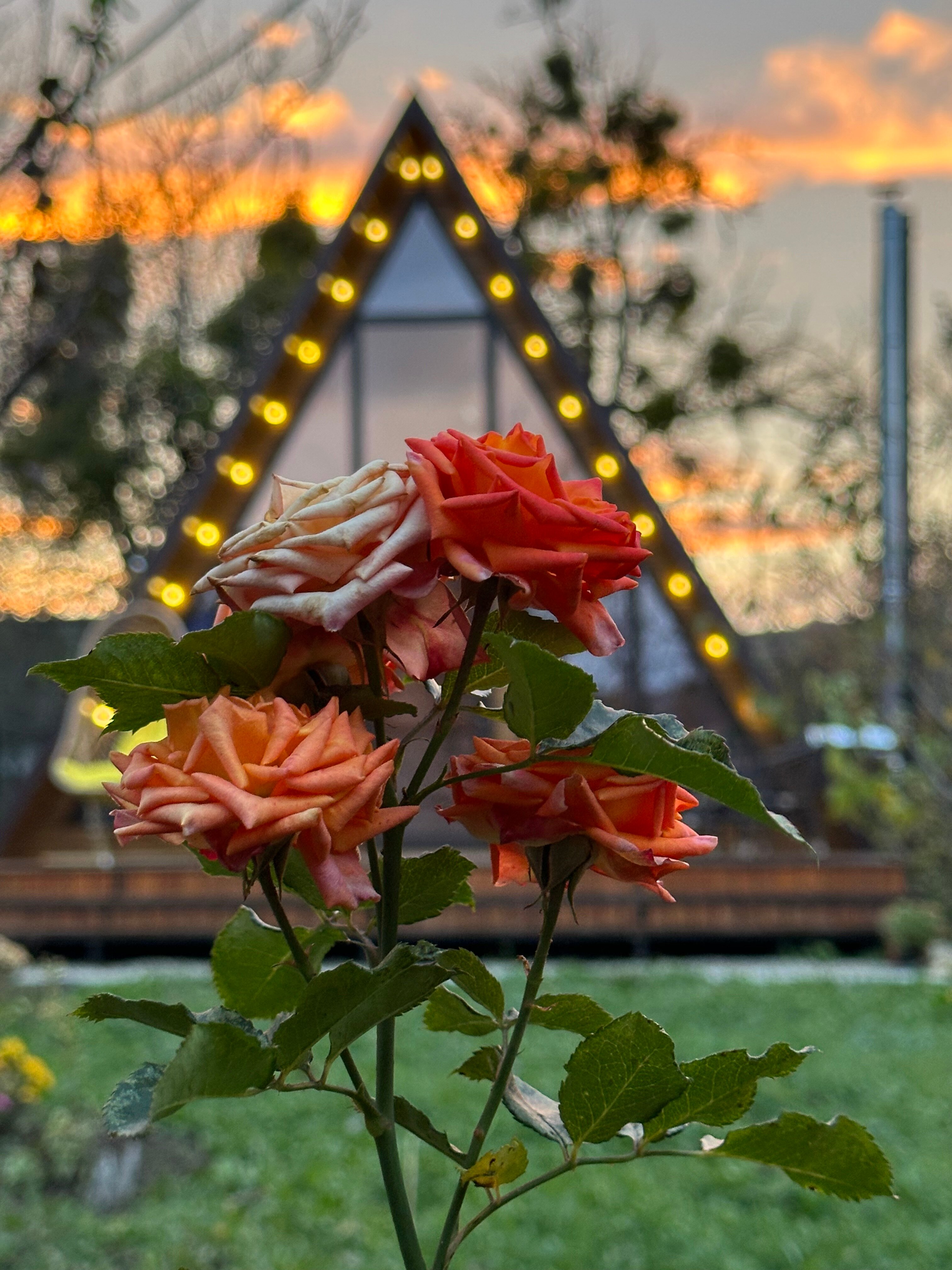 Фото Alpen House 01