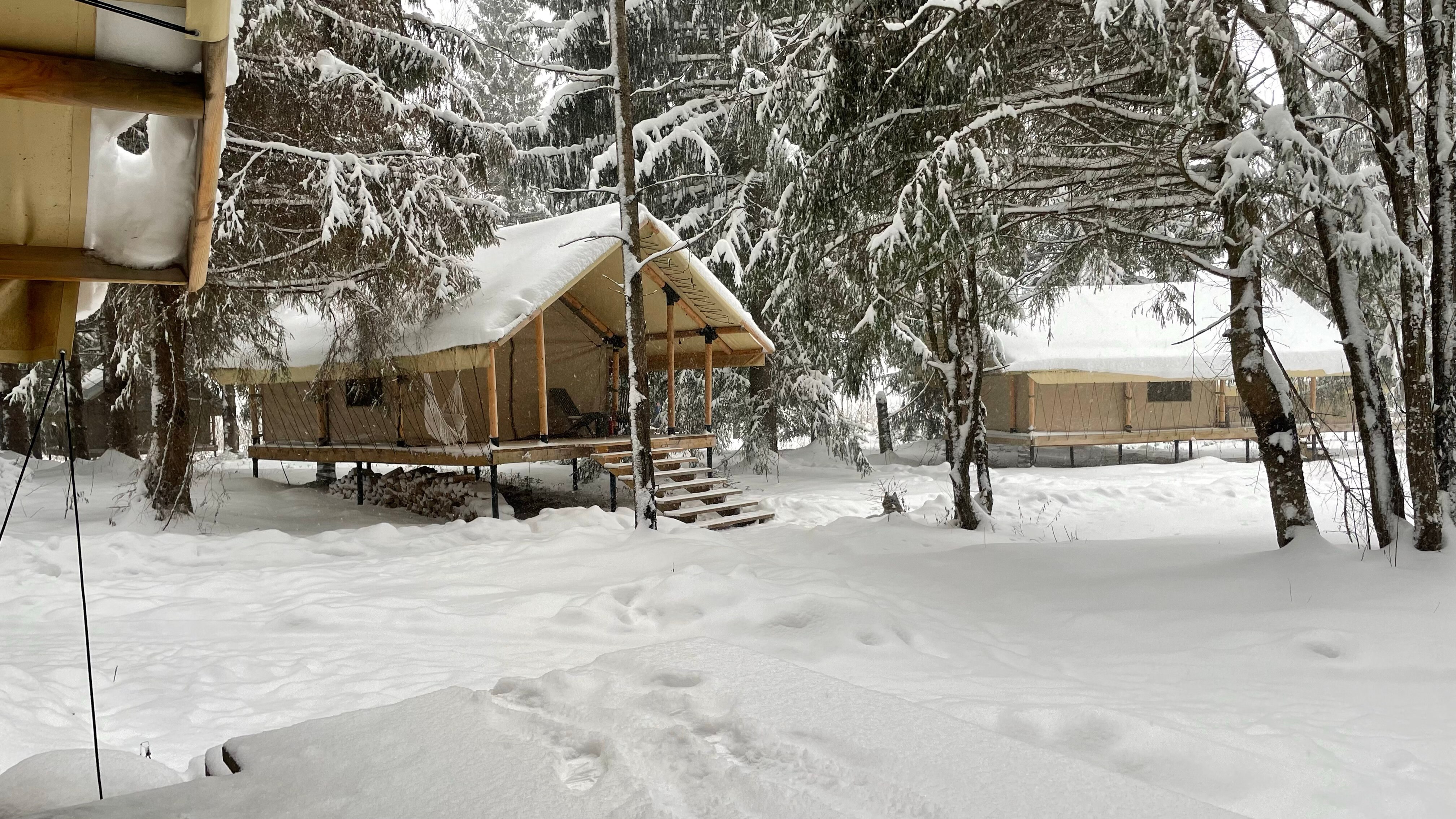 Фото Заповедник