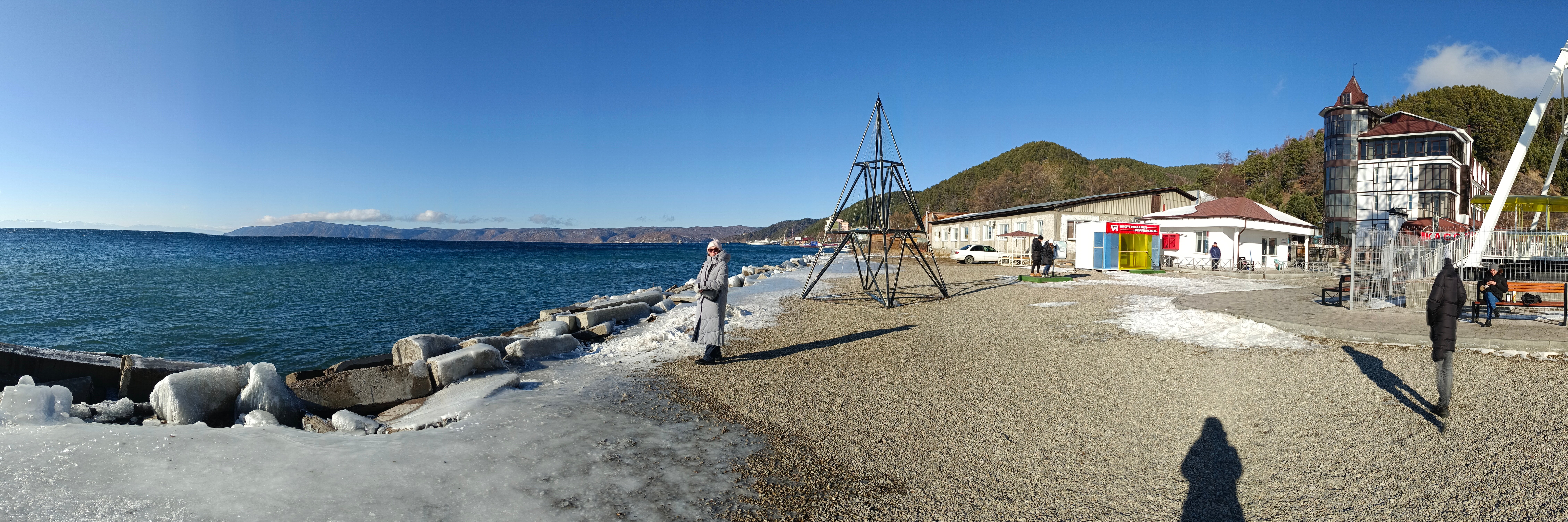 Фото Байкал Кедр