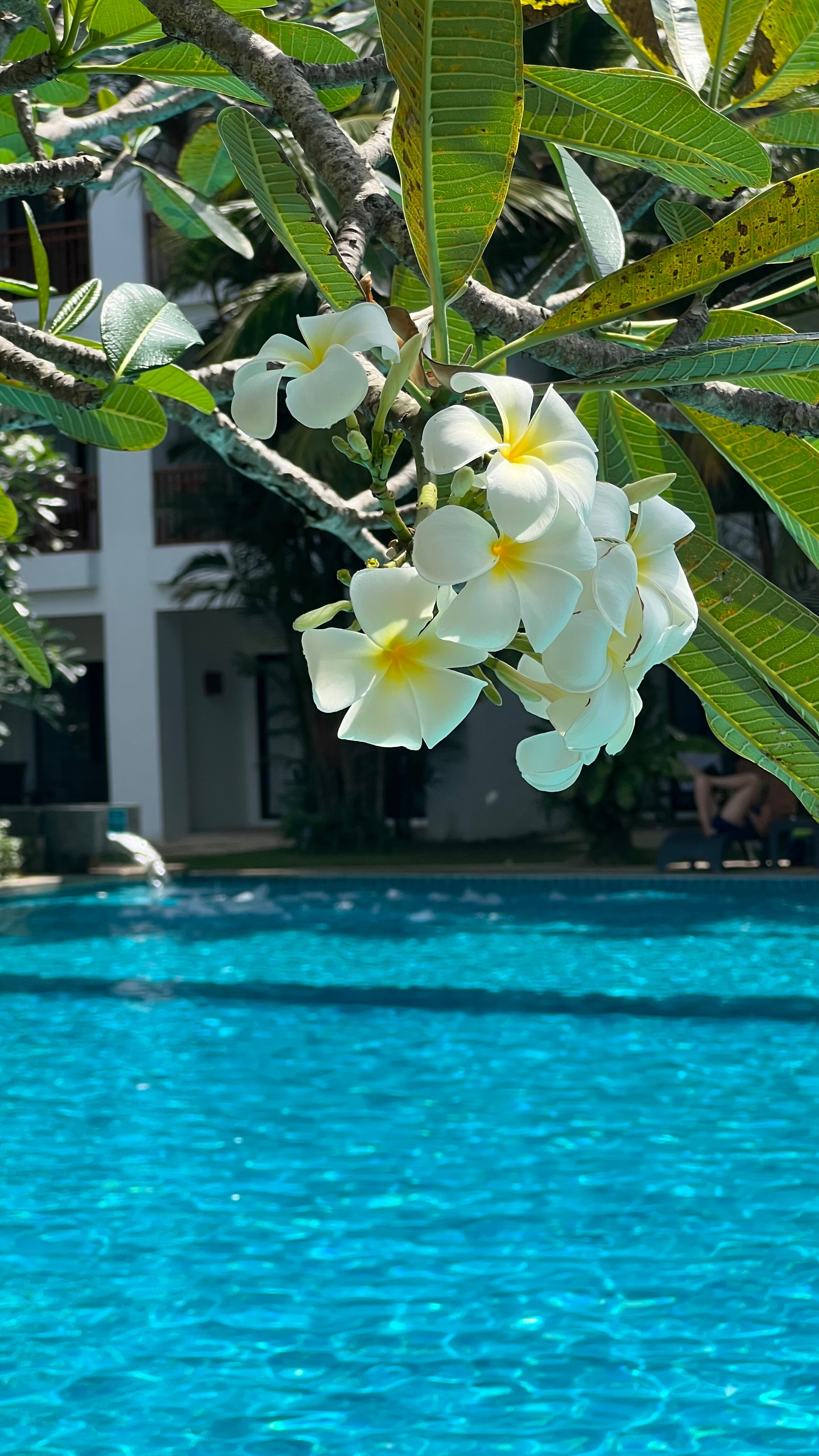 Фото Naithonburi Beach Resort