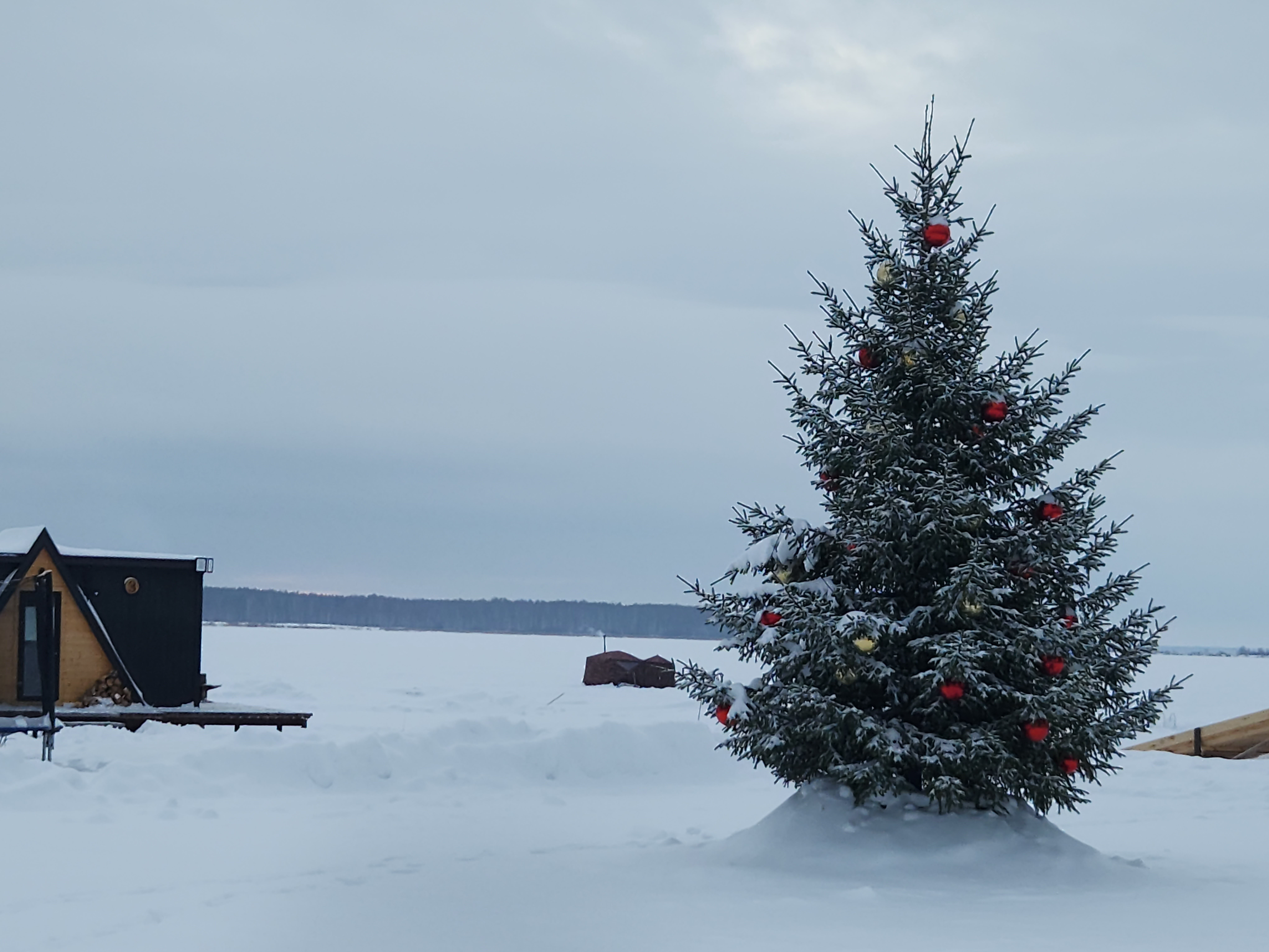 Фото Мандала