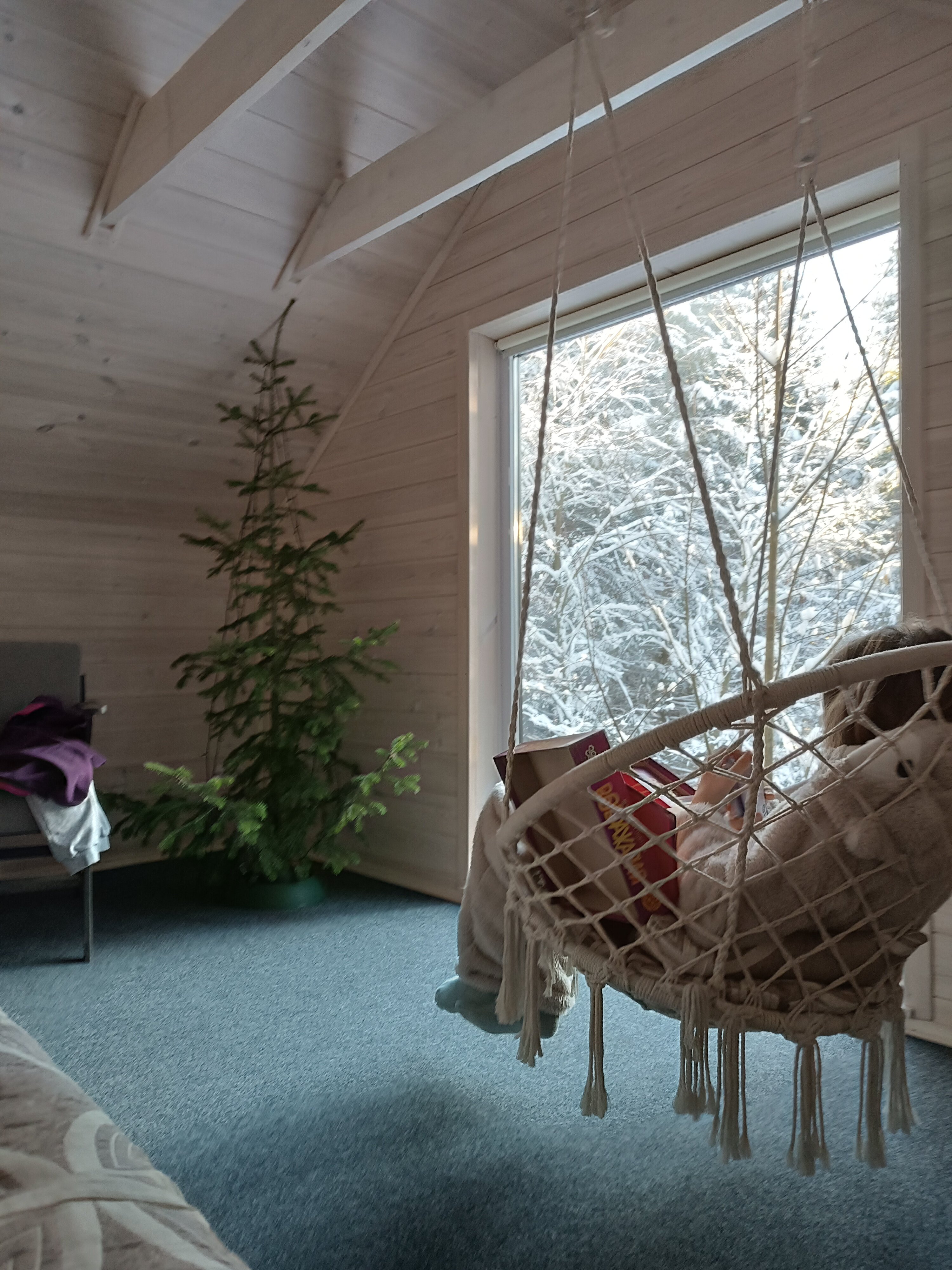 Фото Опушка