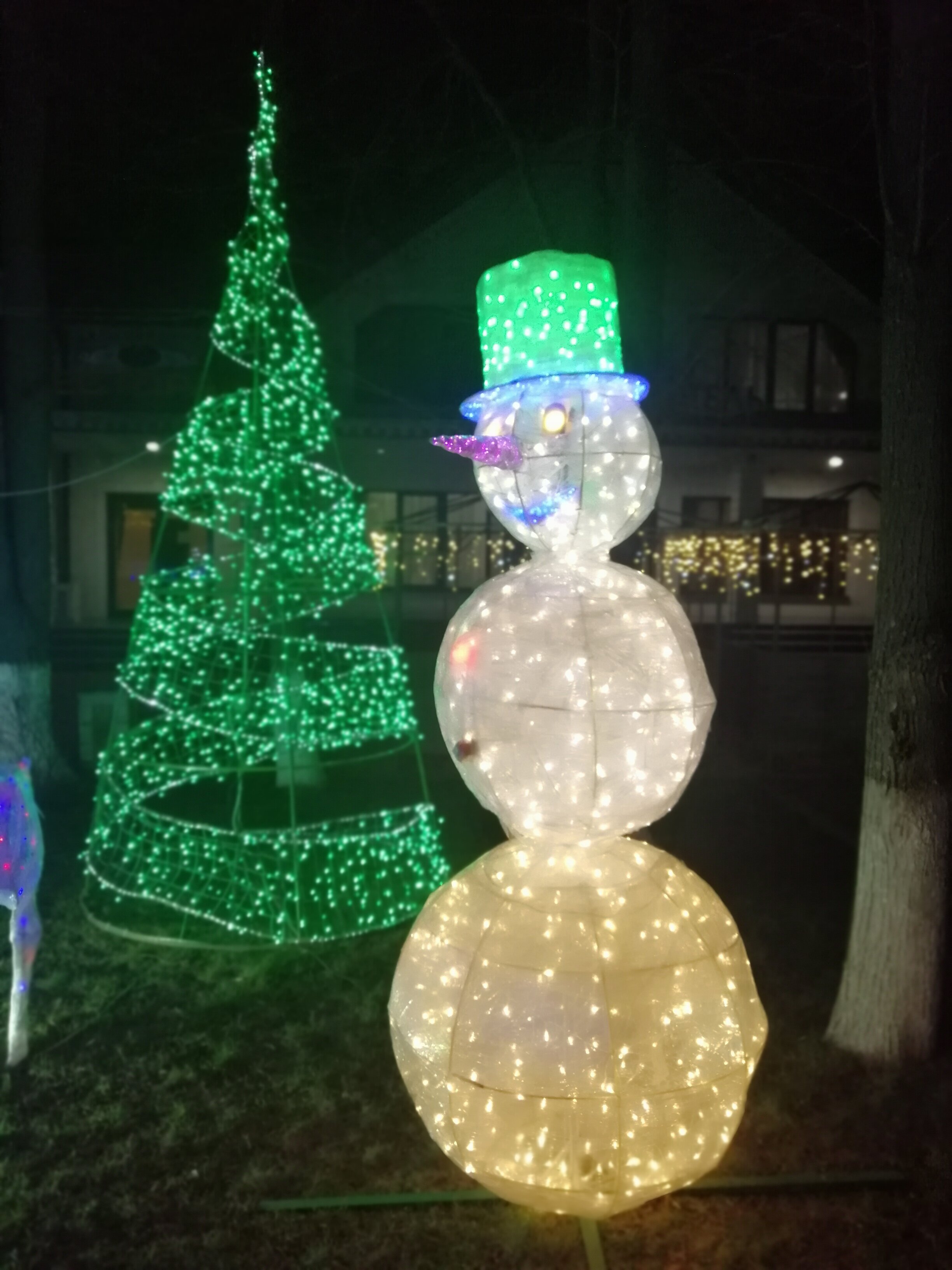 Фото Парк Отель