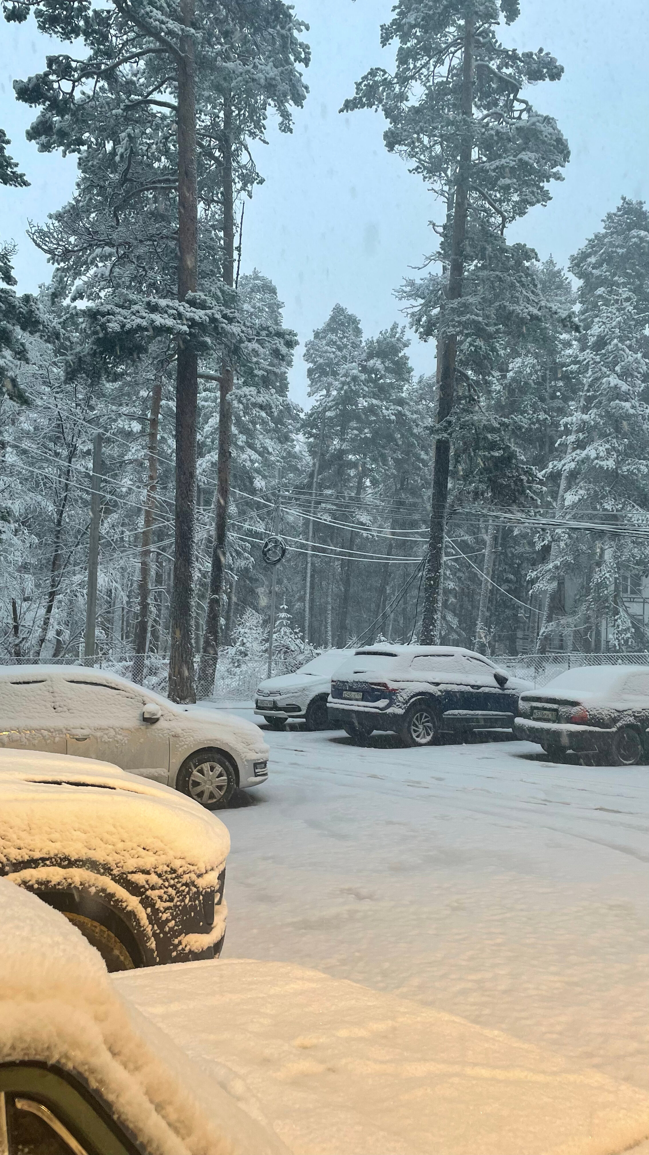 Фото Терскол