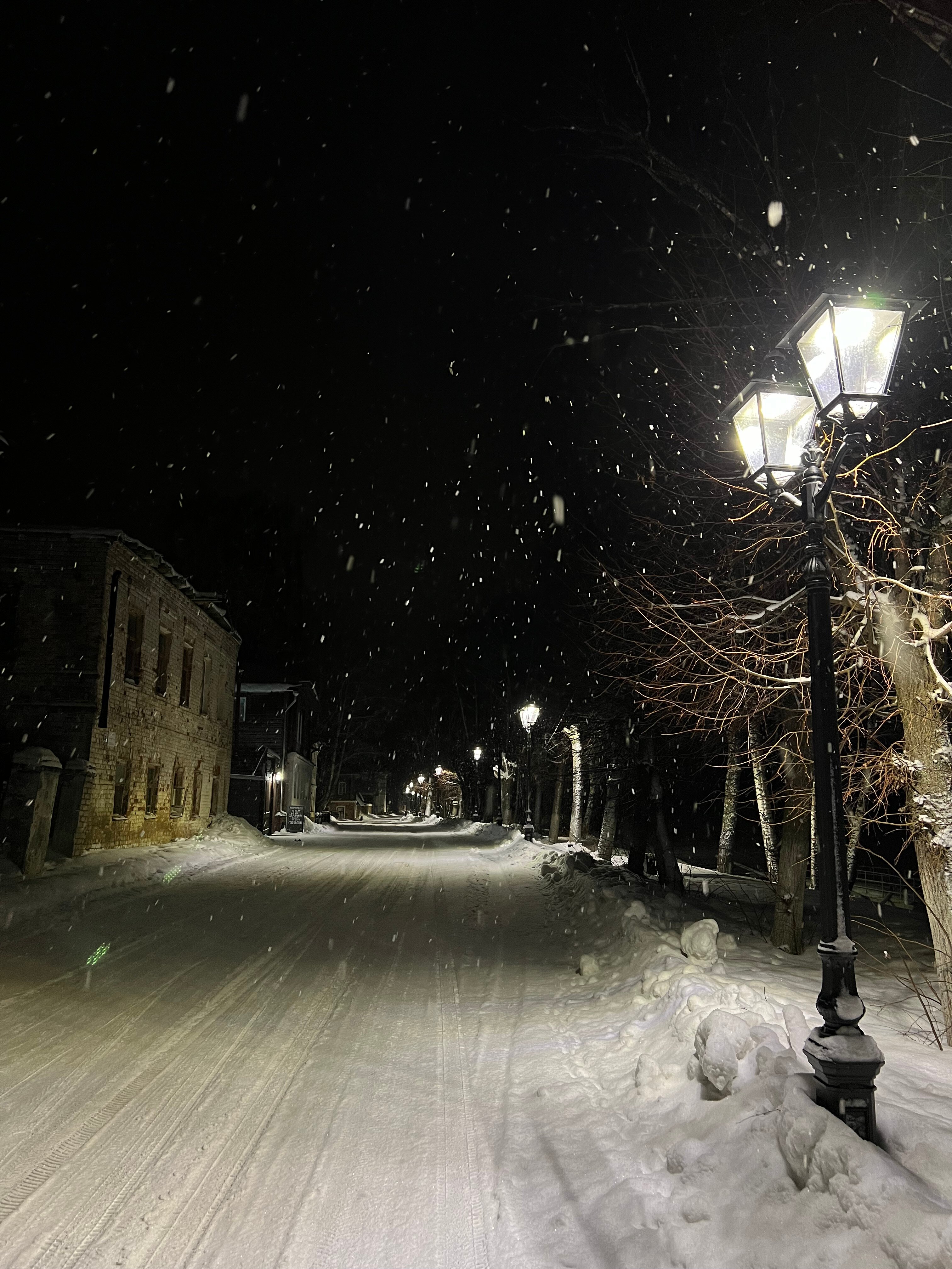 Фото Дом Шемякина