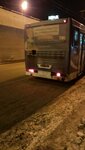 Автобус57 (Колхозная ул., 11, корп. 1, Орёл), автобусные перевозки в Орле