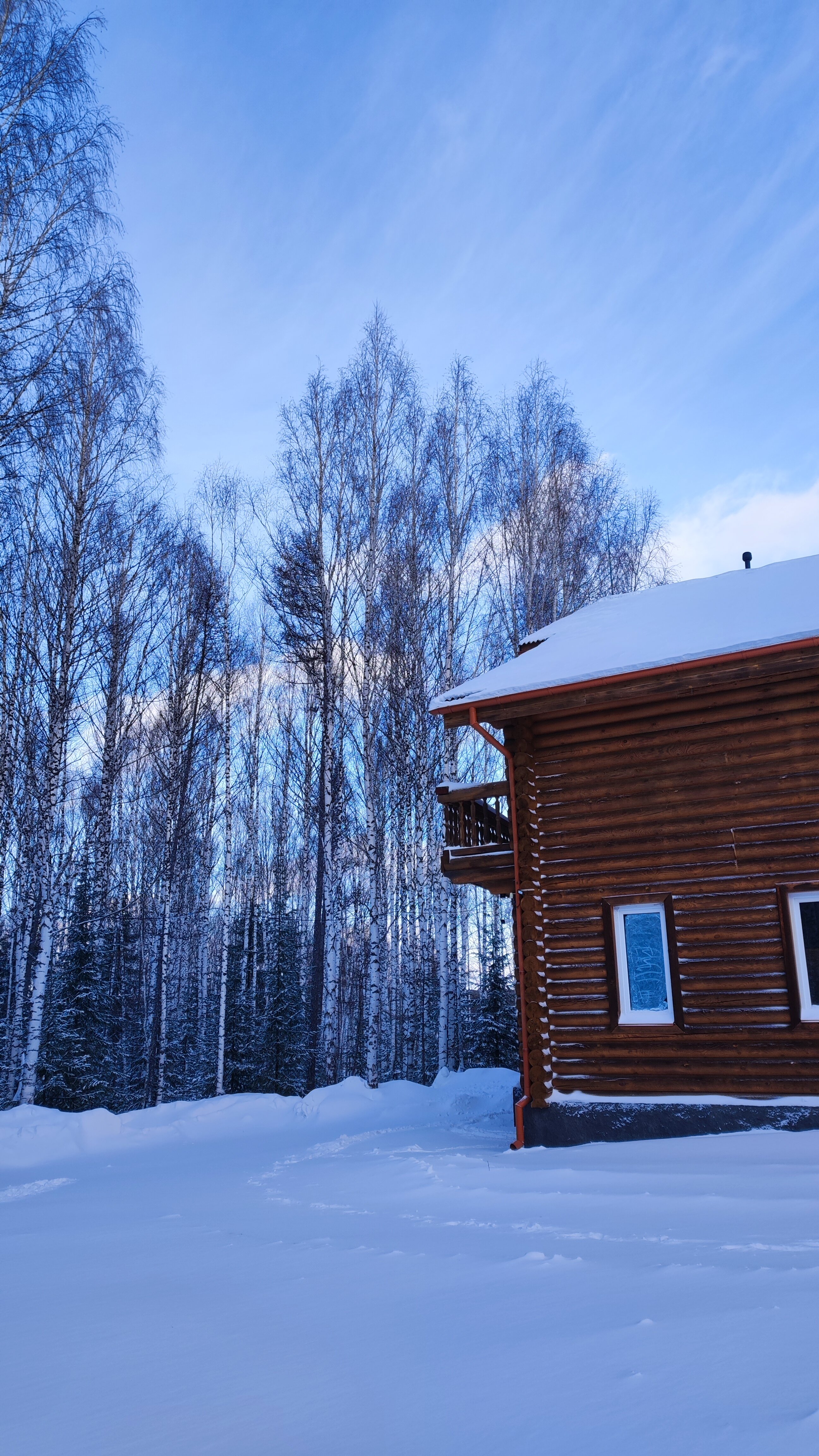 Фото Зелёный дом