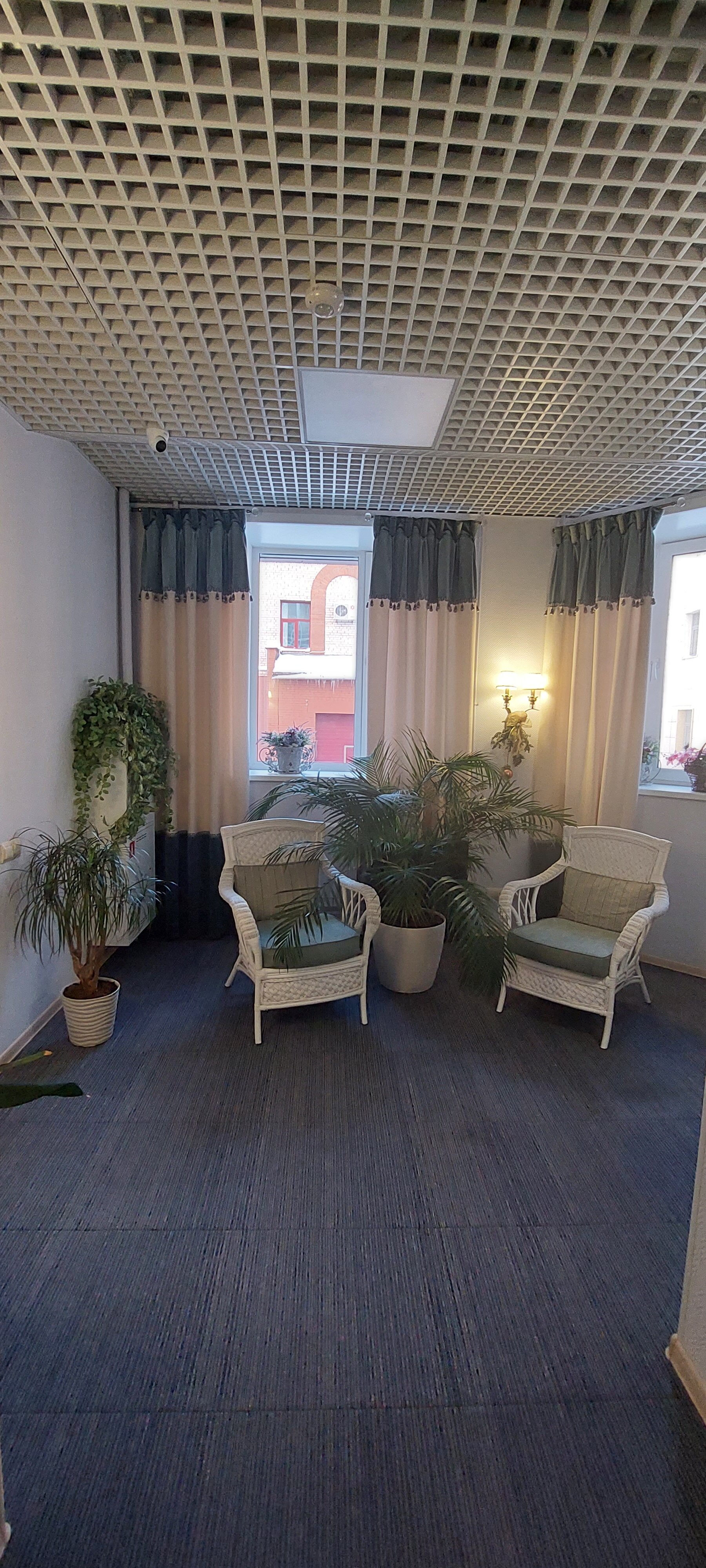 Фото Северница