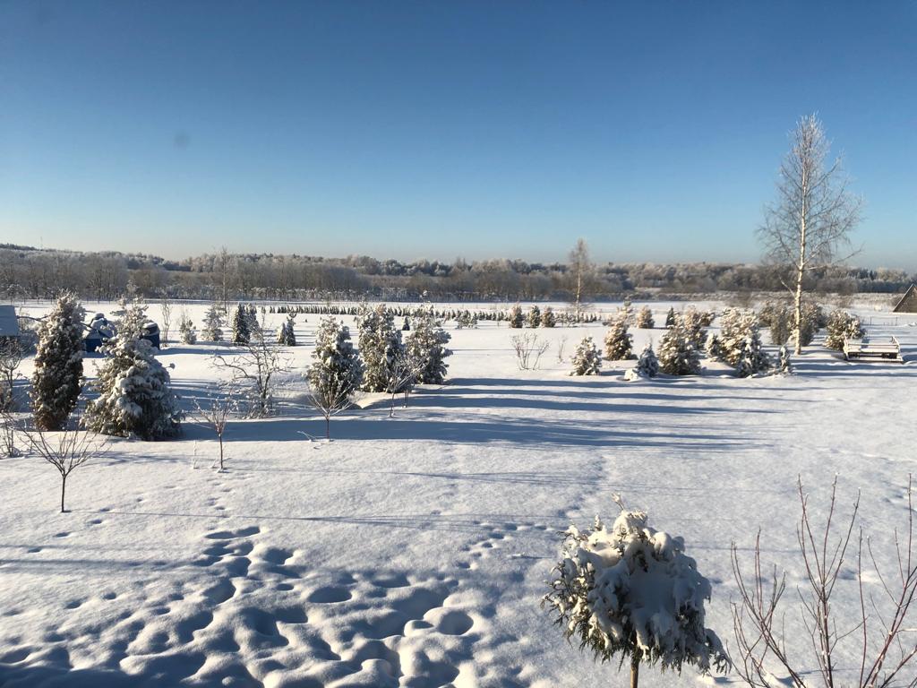 Фото Усадьба Маруся