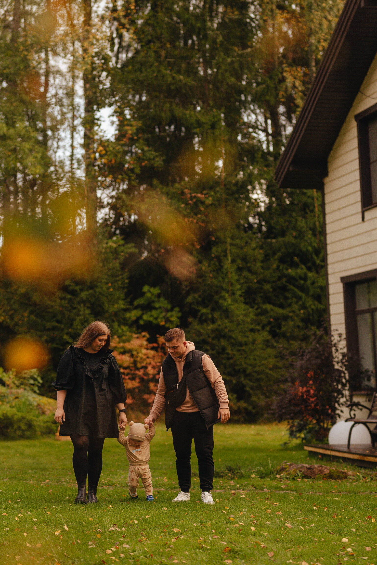 Фото Волшебный лес