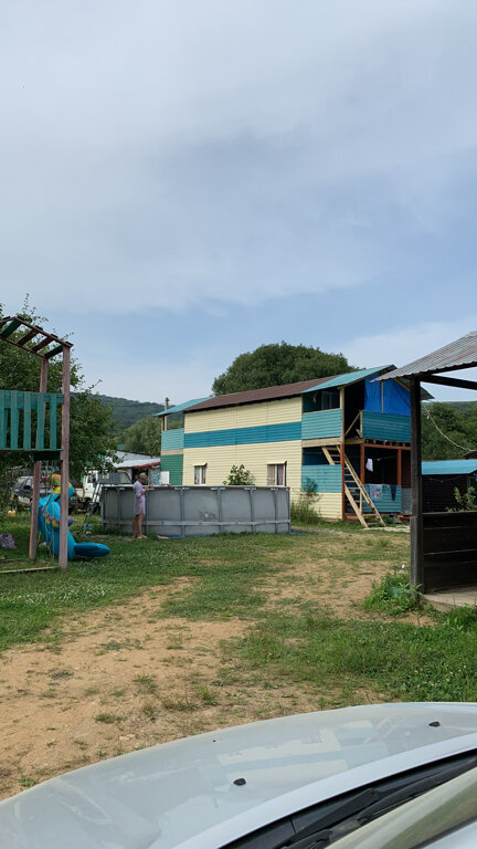 Фото Ромашка-Витязь