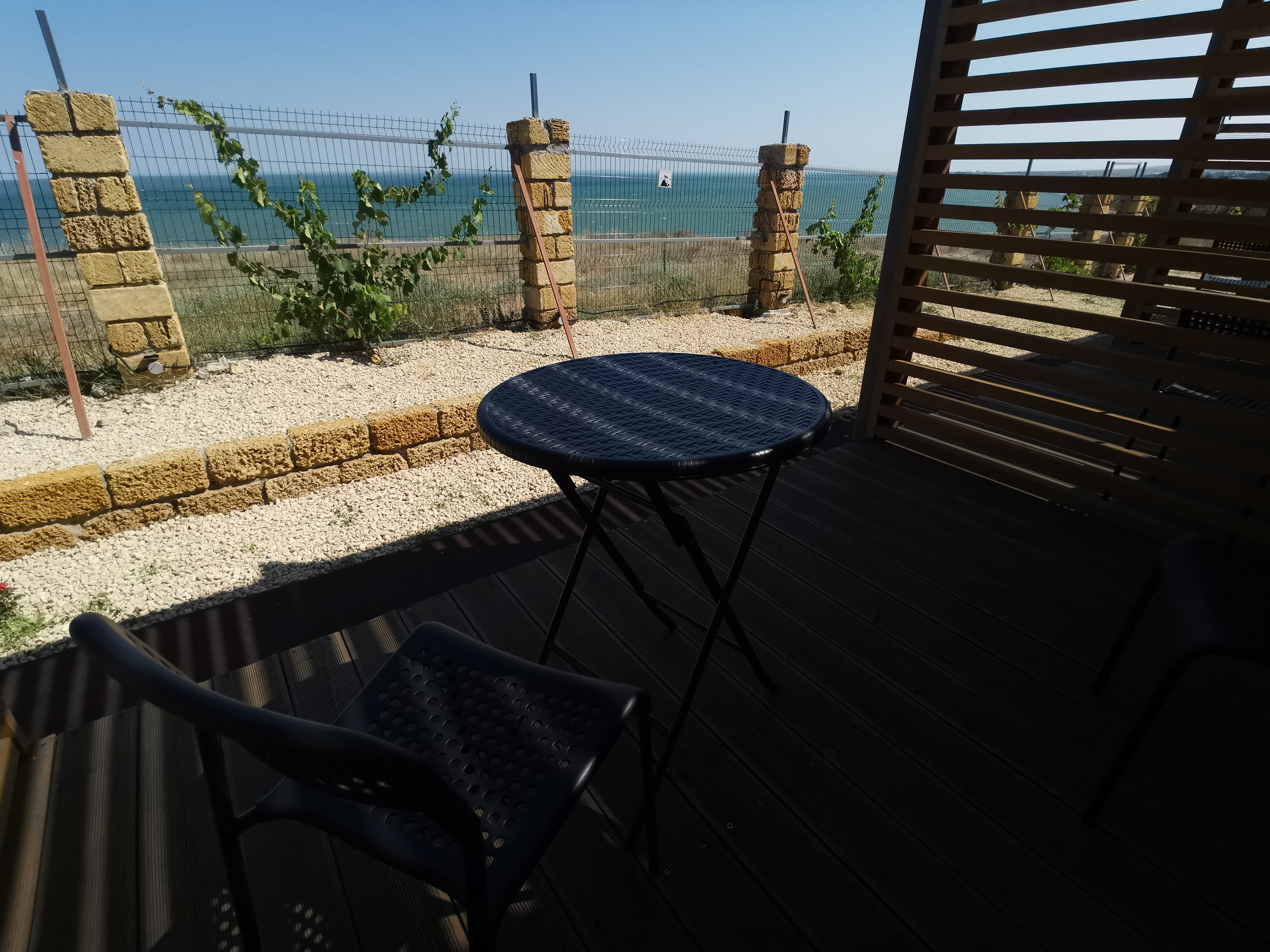 Фото Лемонад