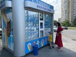 Slavica (Severniy Microdistrict, Volkova Street, 4) ، مثلجات