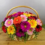 Delivery of bouquets 24/7 (Kirova Street, 46), flowers and bouquets delivery
