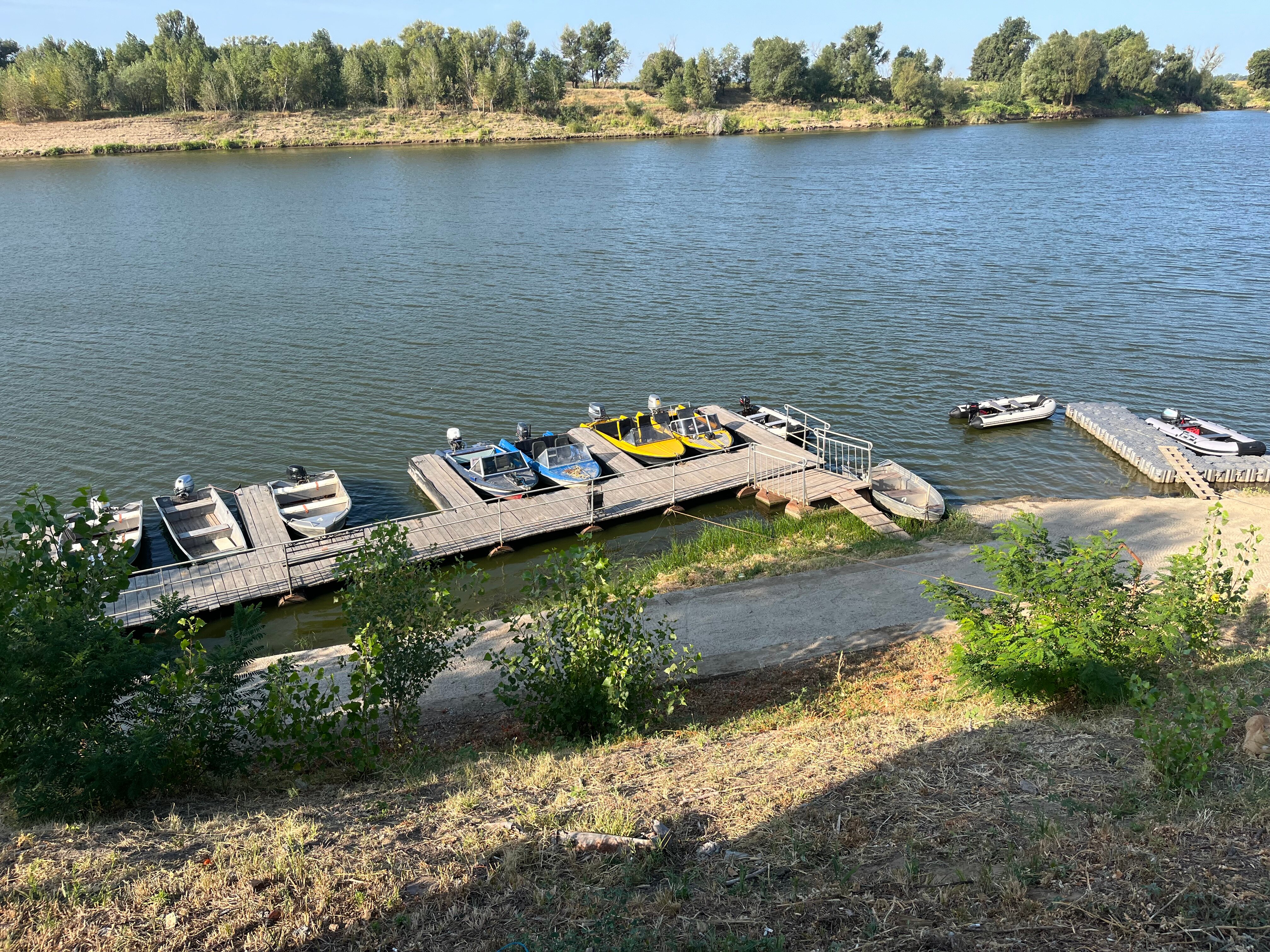 Фото Золотая рыбка