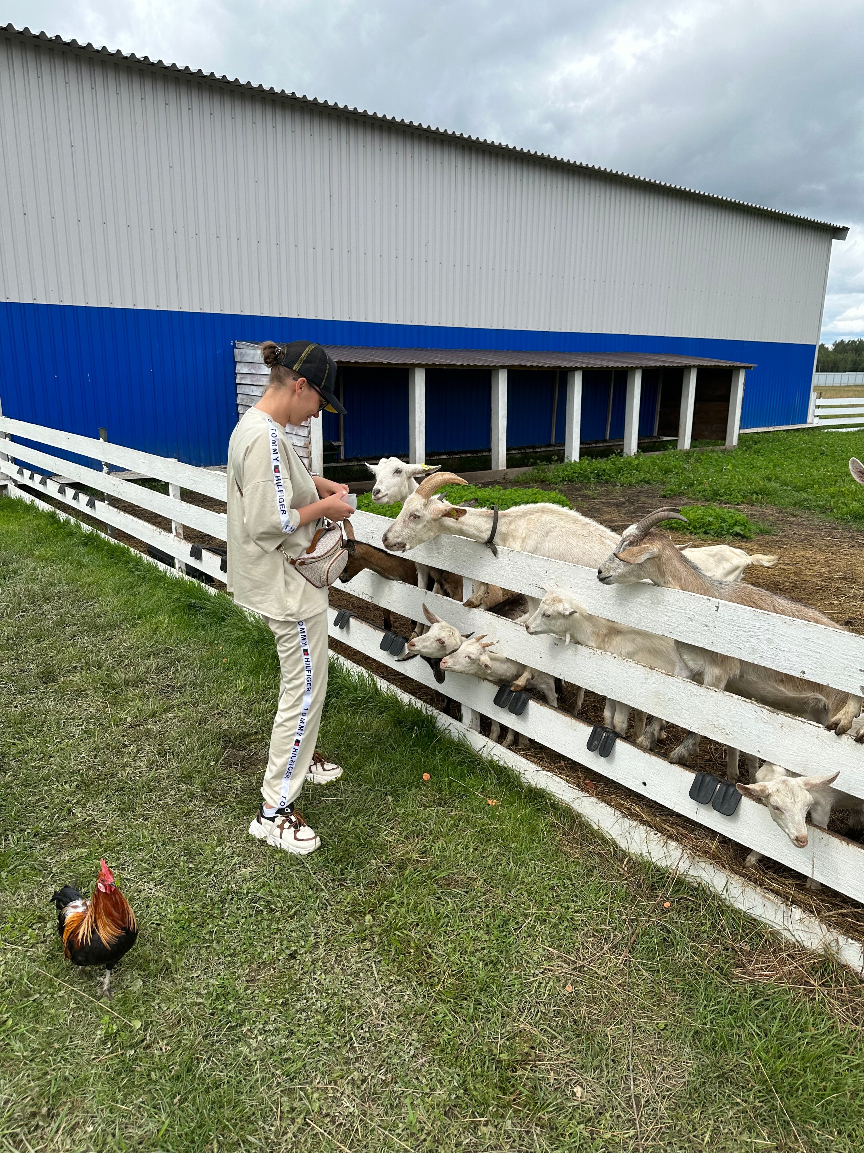 Фото Экоферма Александровский спас