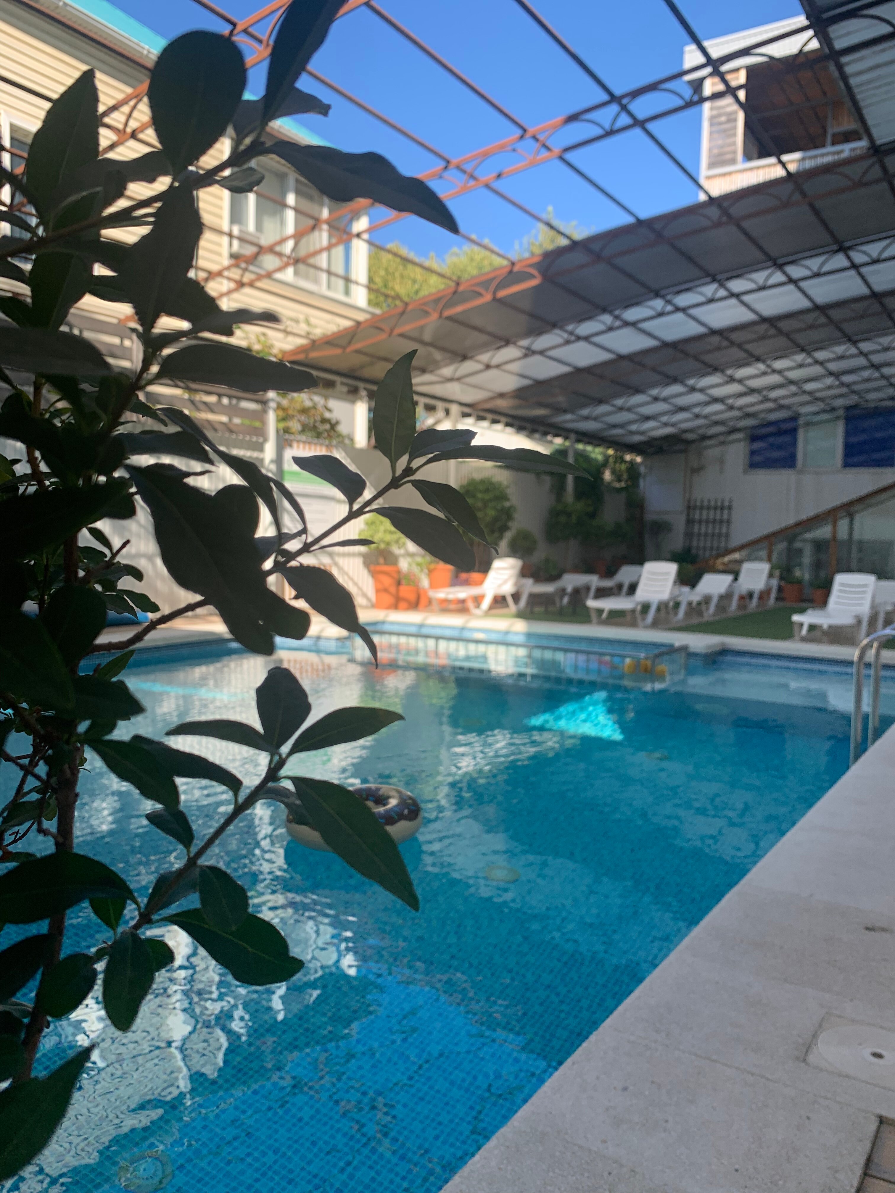 Фото Гармония