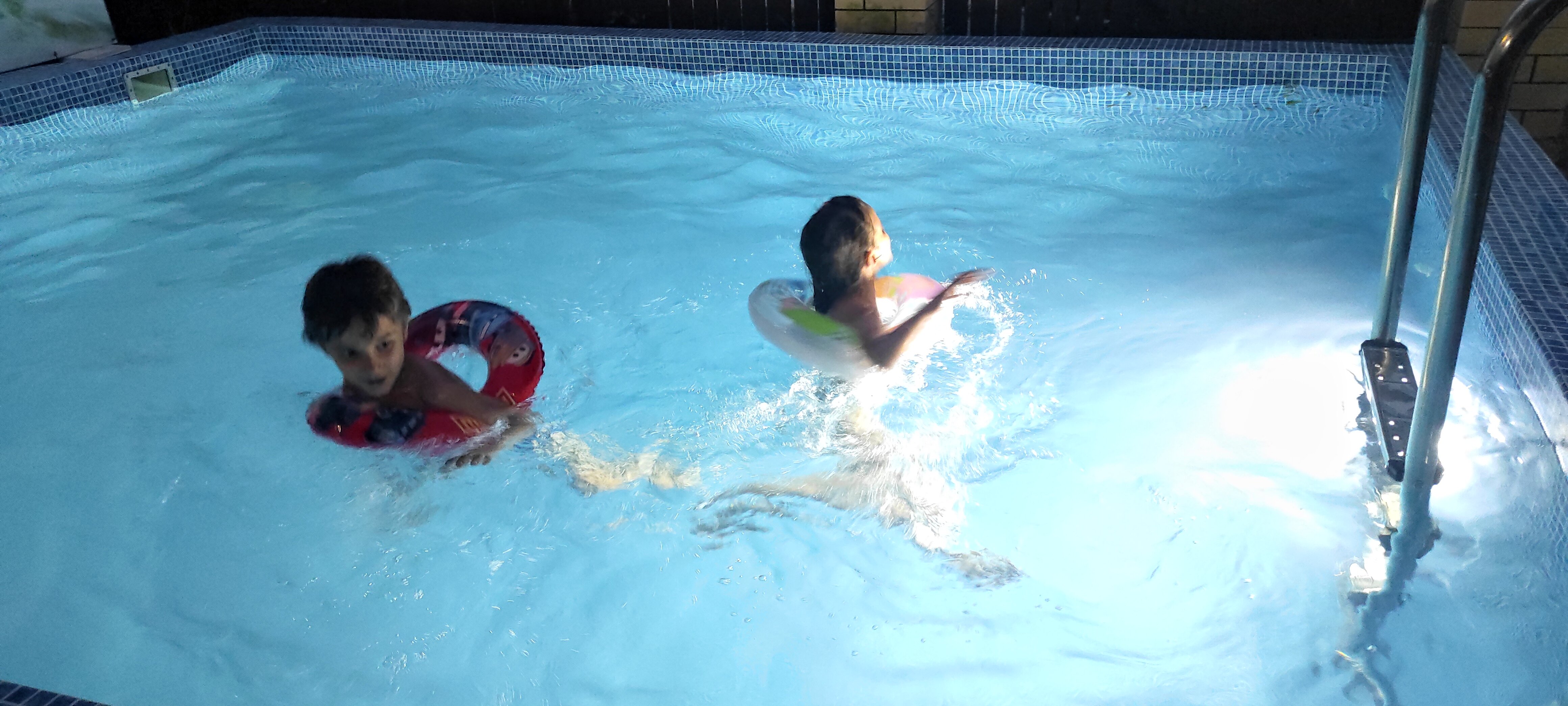 Фото Ромашка