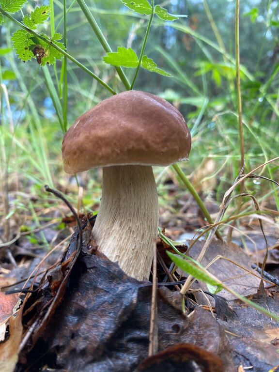 Фото Время в горы