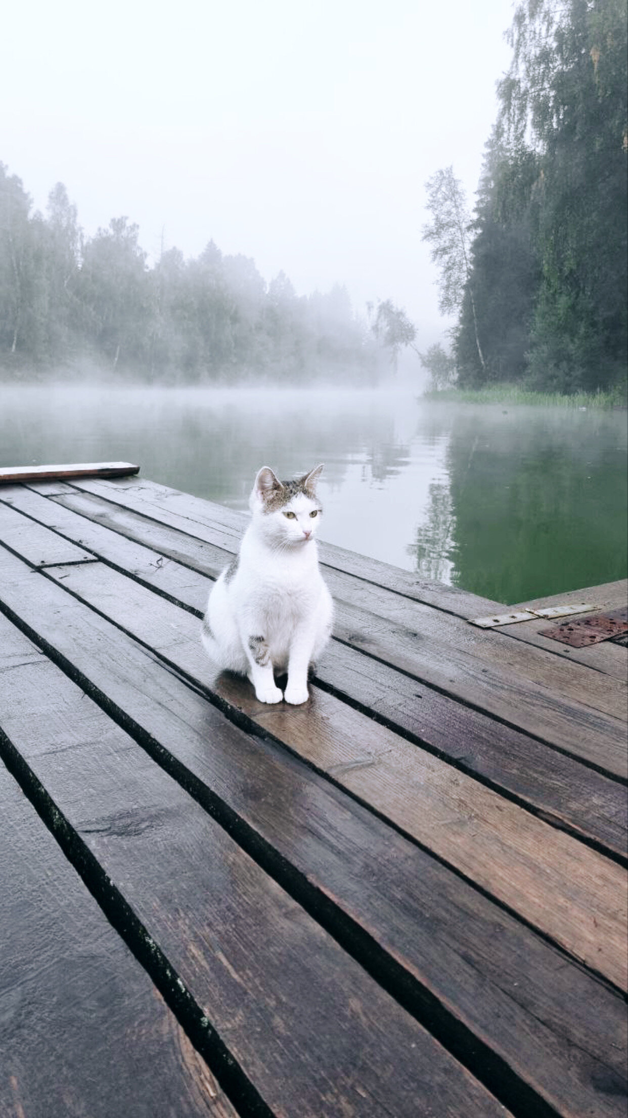 Фото ЭтноуСАДьба ЗдРАвоМыслящих