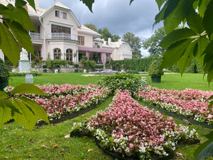 Farm Palace (Peterhof, 19, Aleksandriya Park), museum