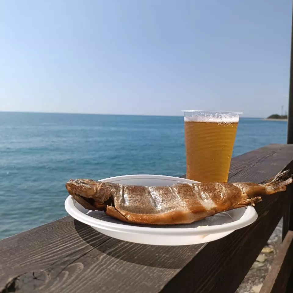 Фото Эллинг 6