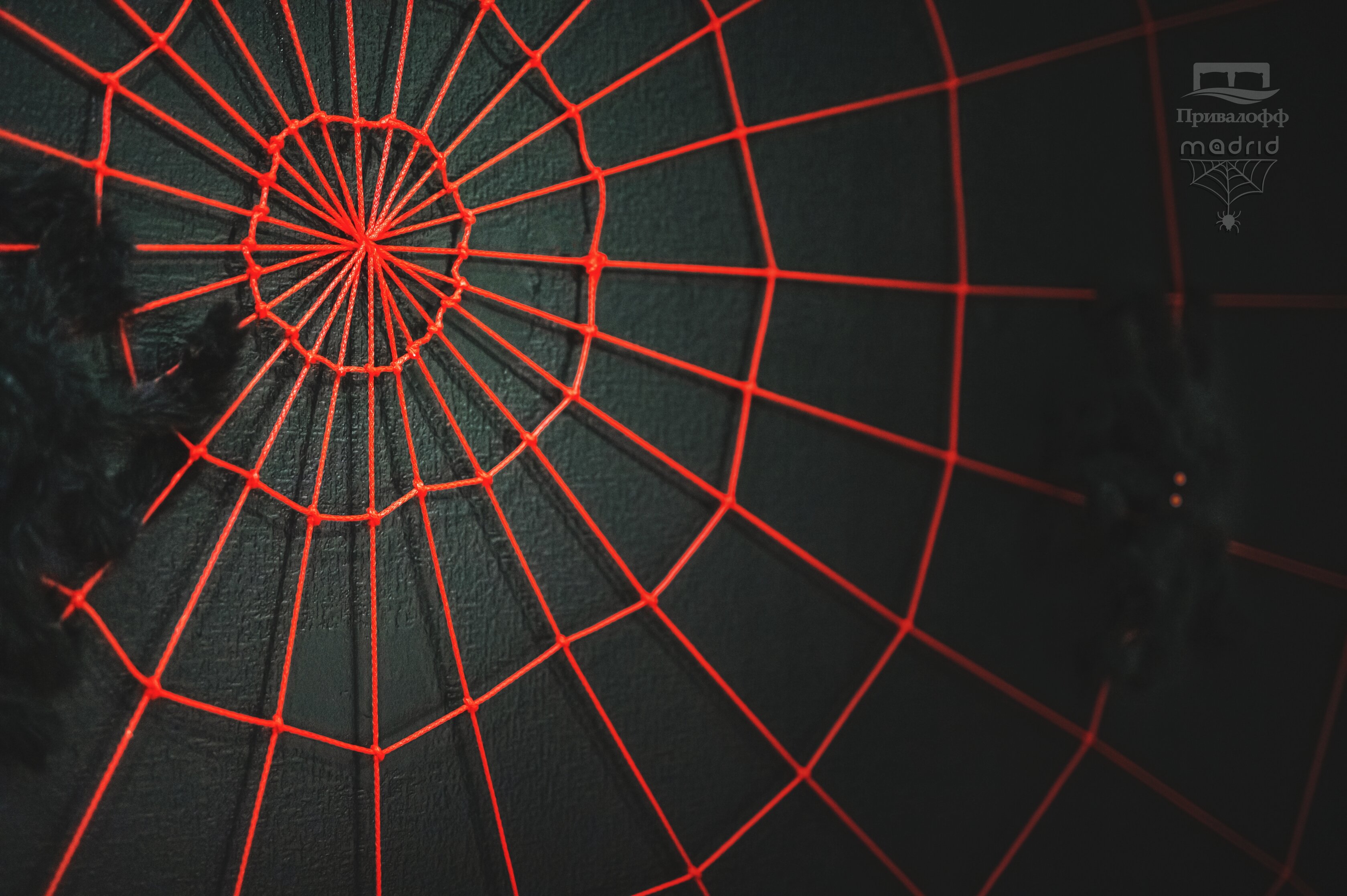 Фото Привалофф