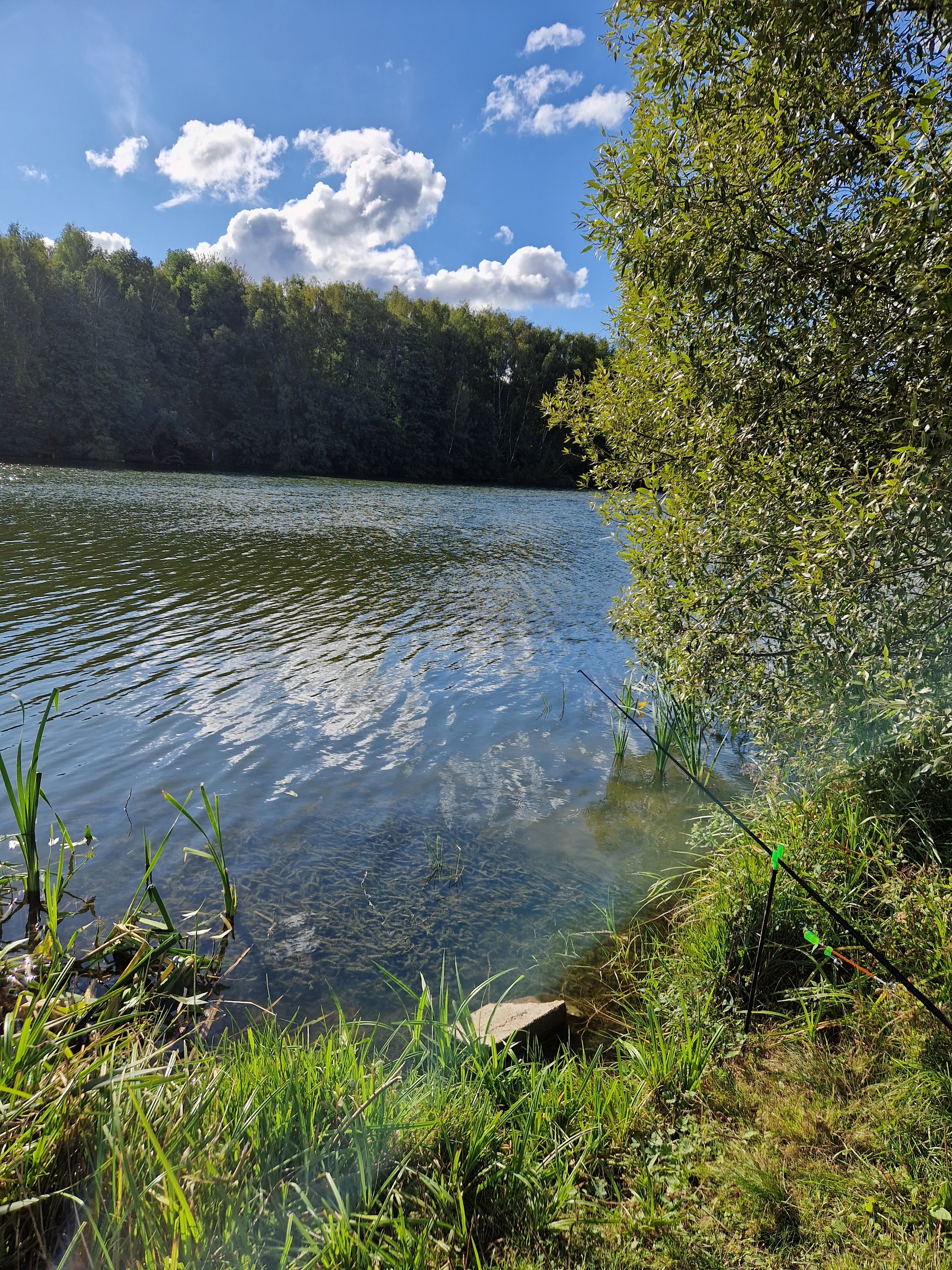 Фото Шале у воды