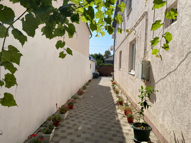 Фото Владис