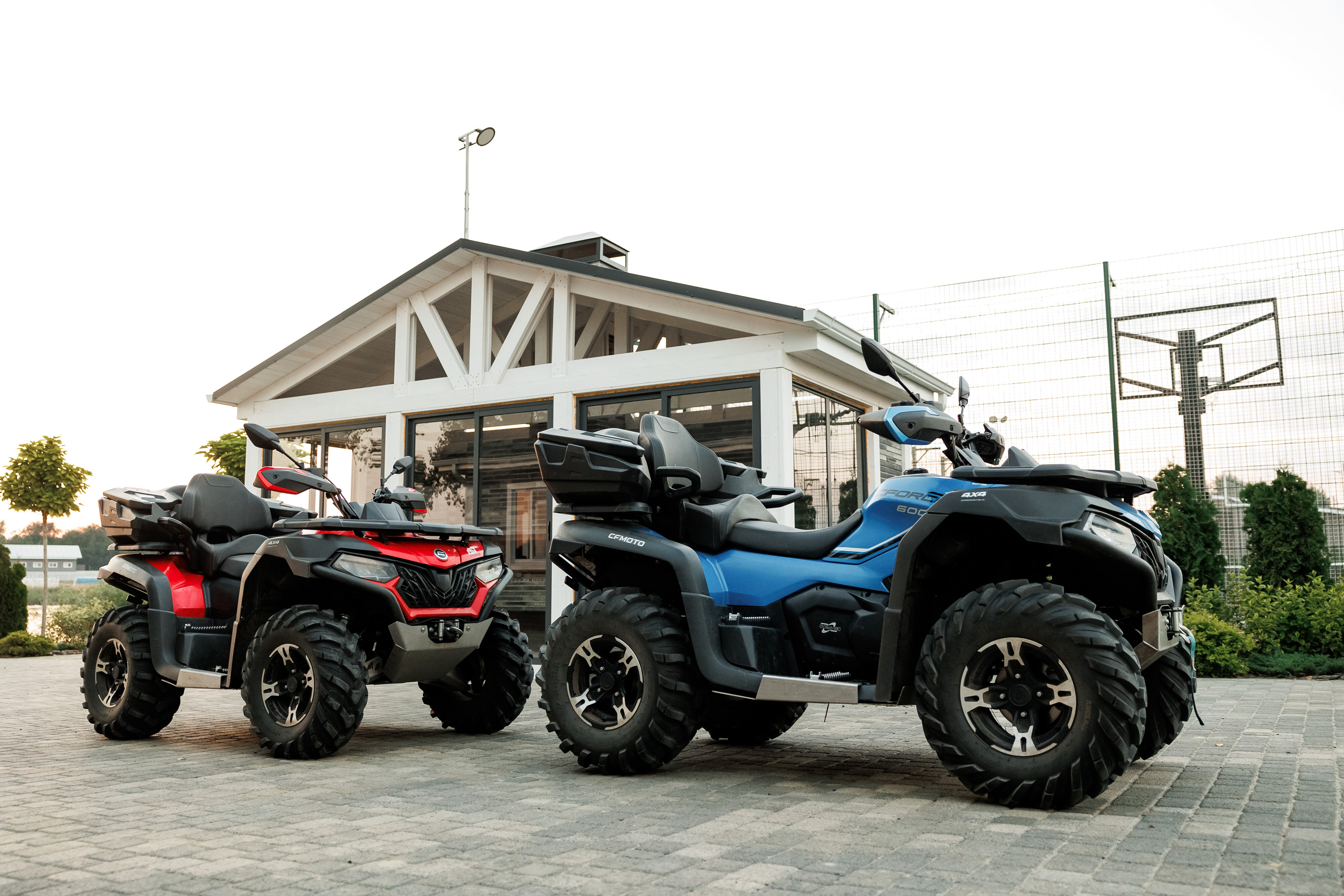 Фото Феникс