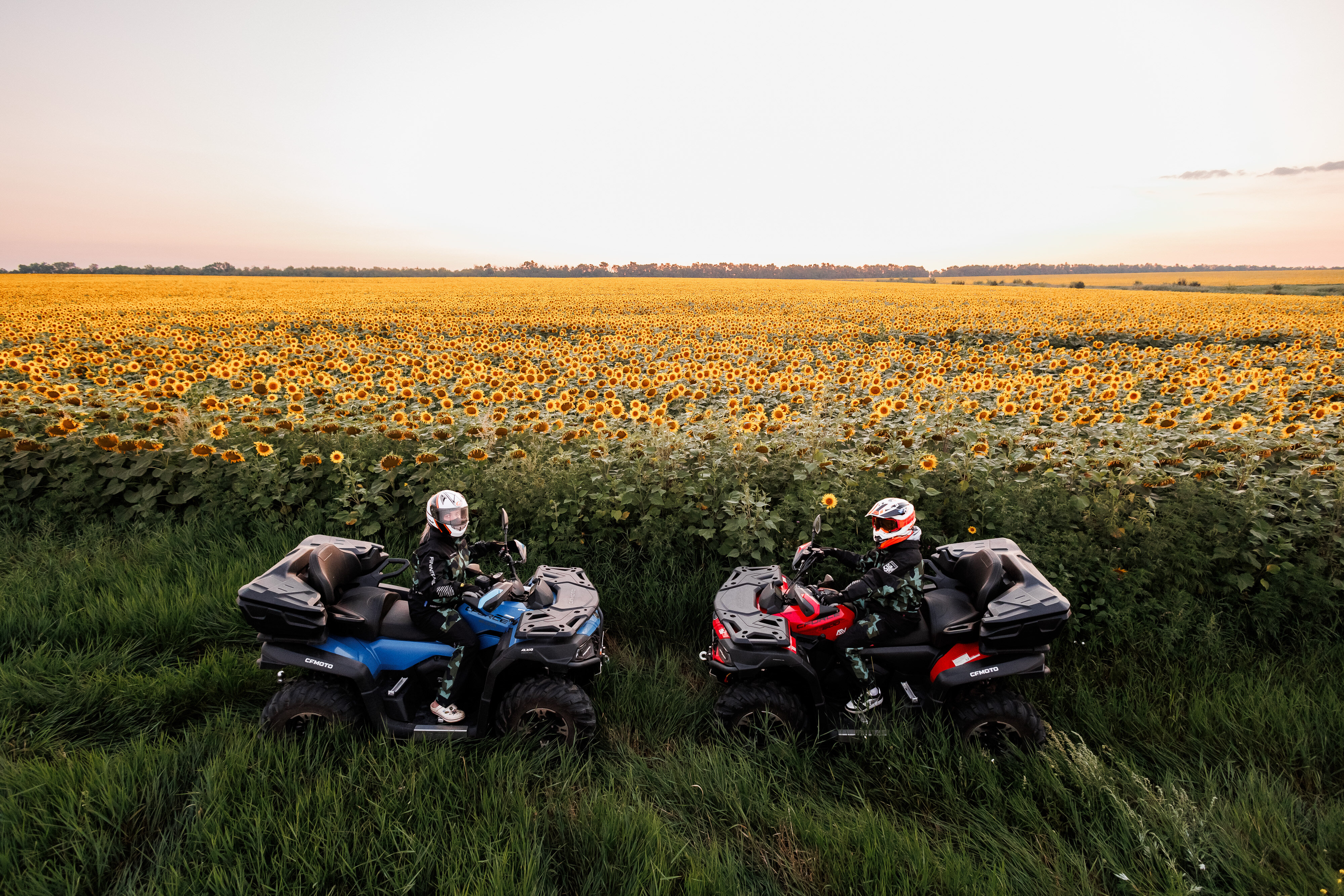 Фото Феникс