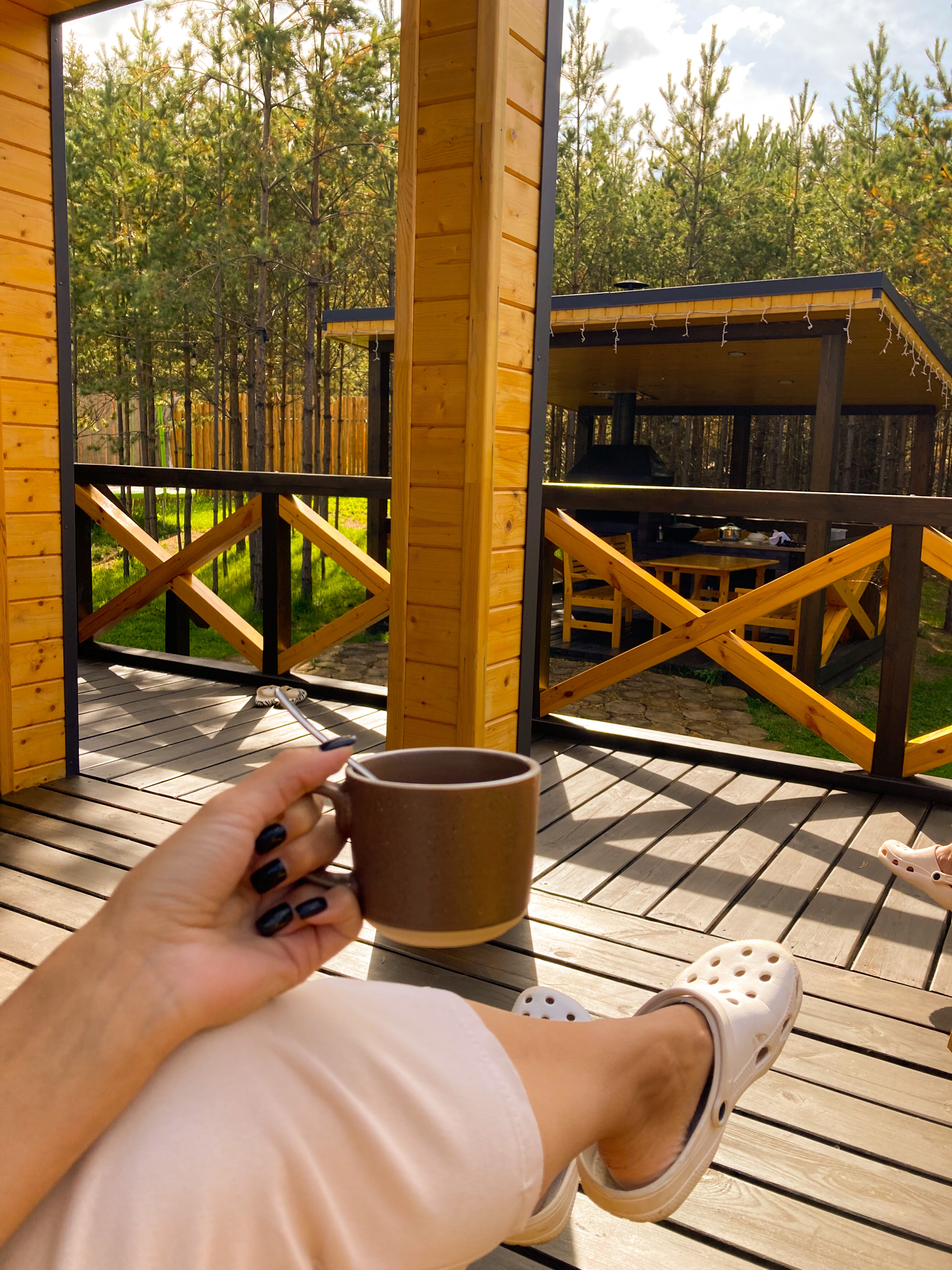 Фото Два Лося