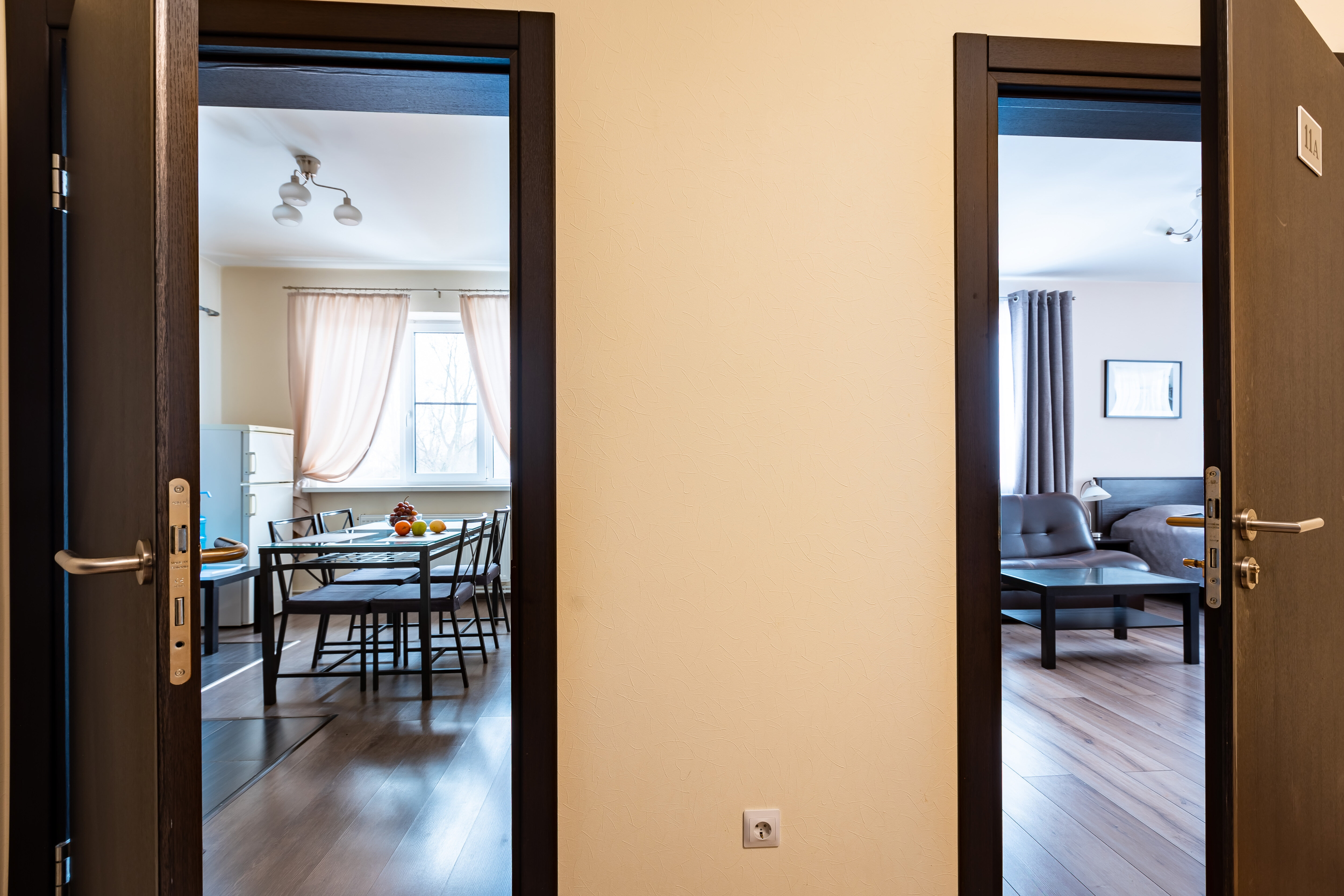 Фото Подсолнух