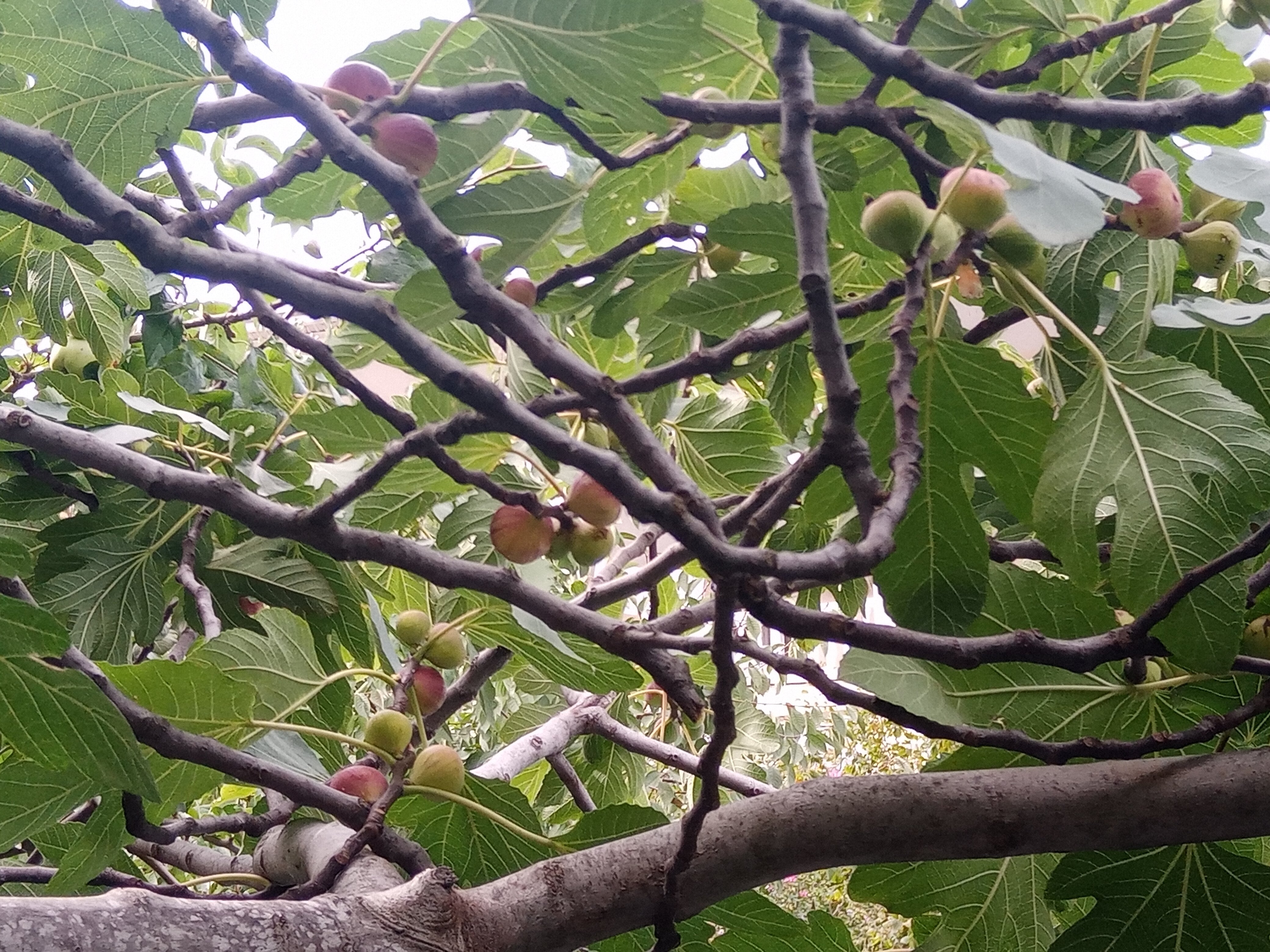 Фото Встреча