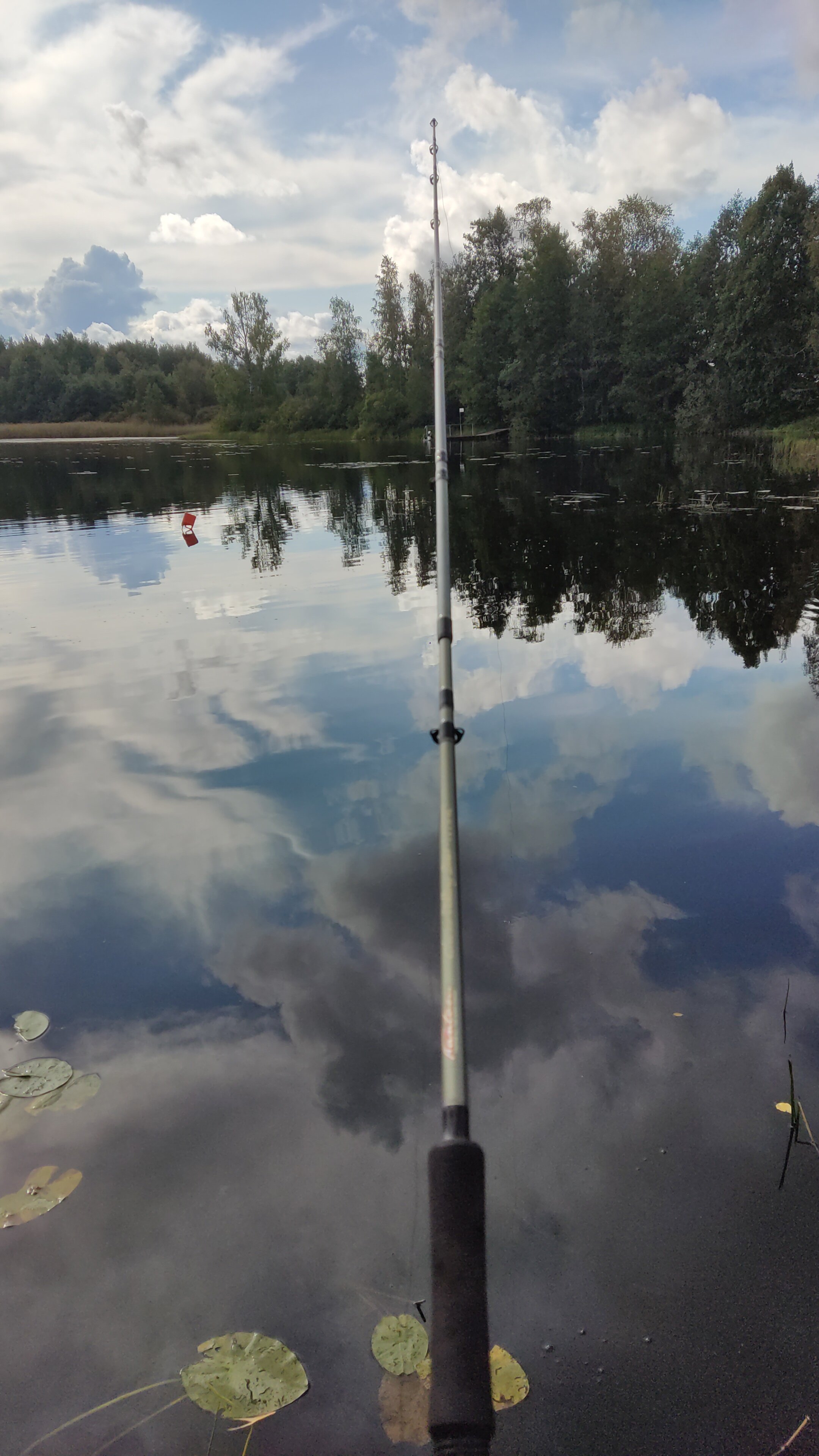 Фото Беличье