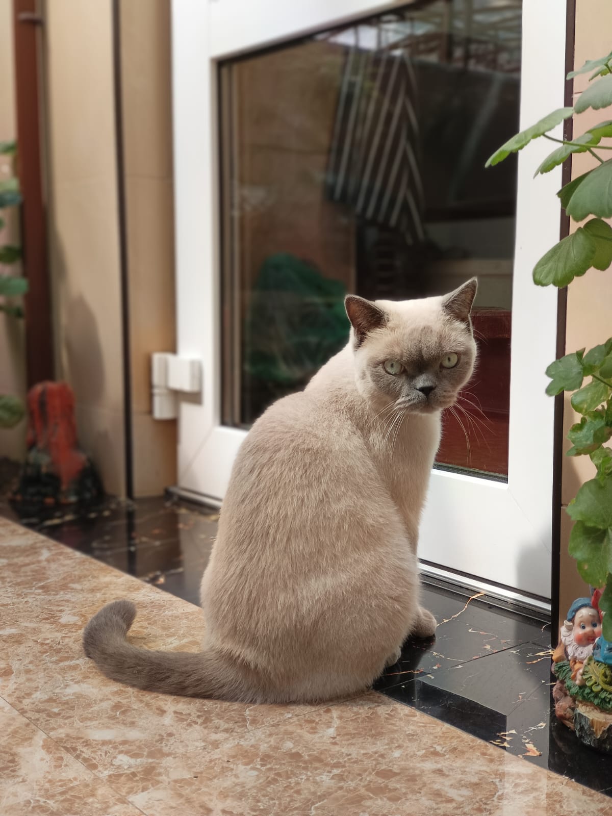 Фото Венера-1