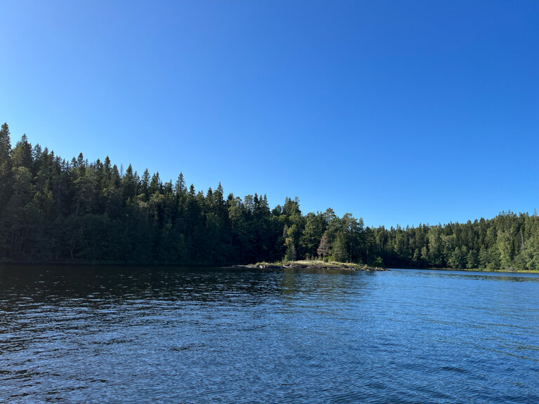 Фото Дивное