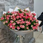 Orchid (Sukhodolnaya ulitsa, 38Б), flower shop