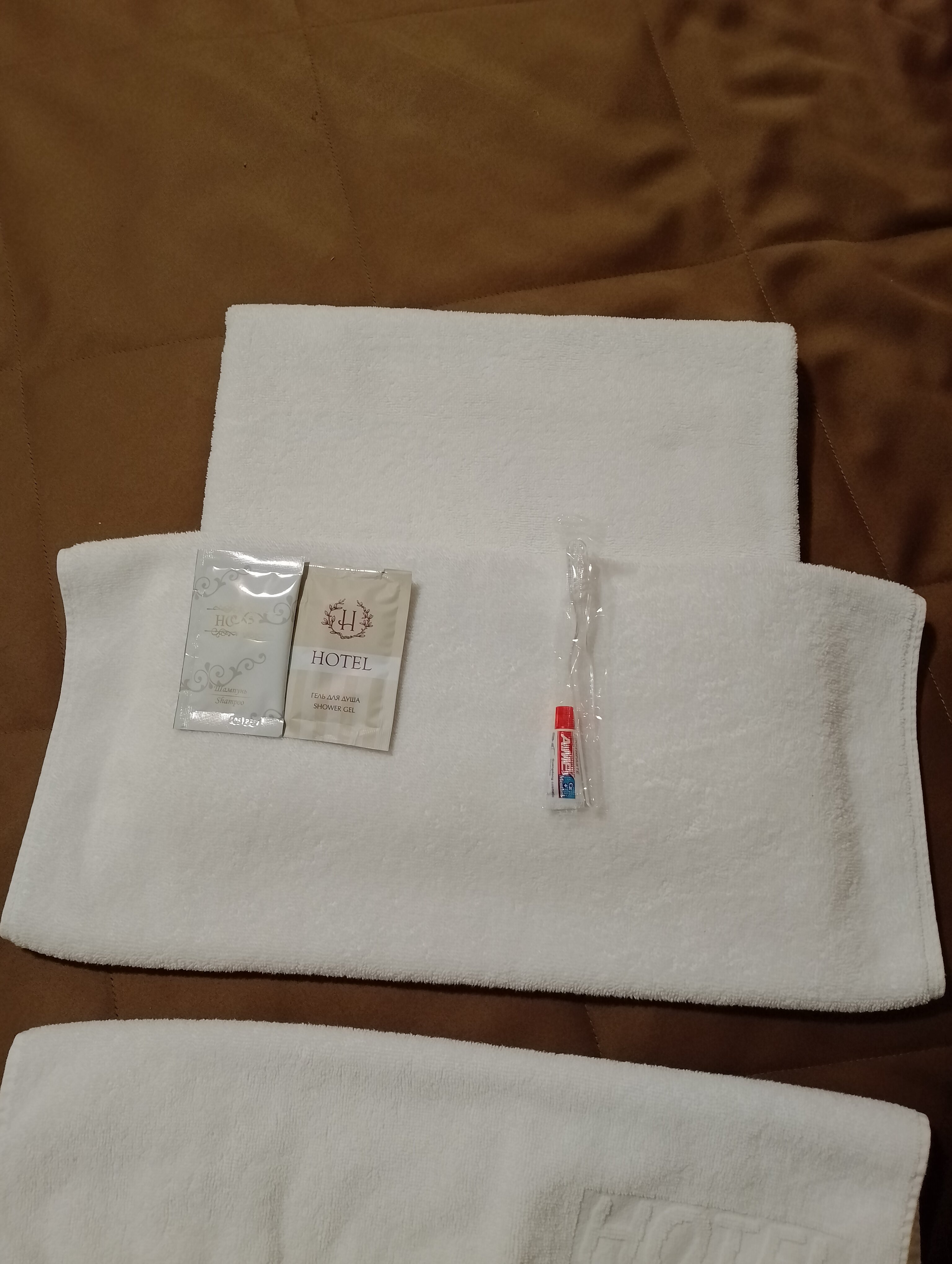 Фото Березка