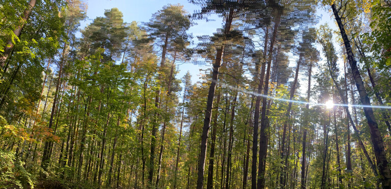 Фото Монте-Карло