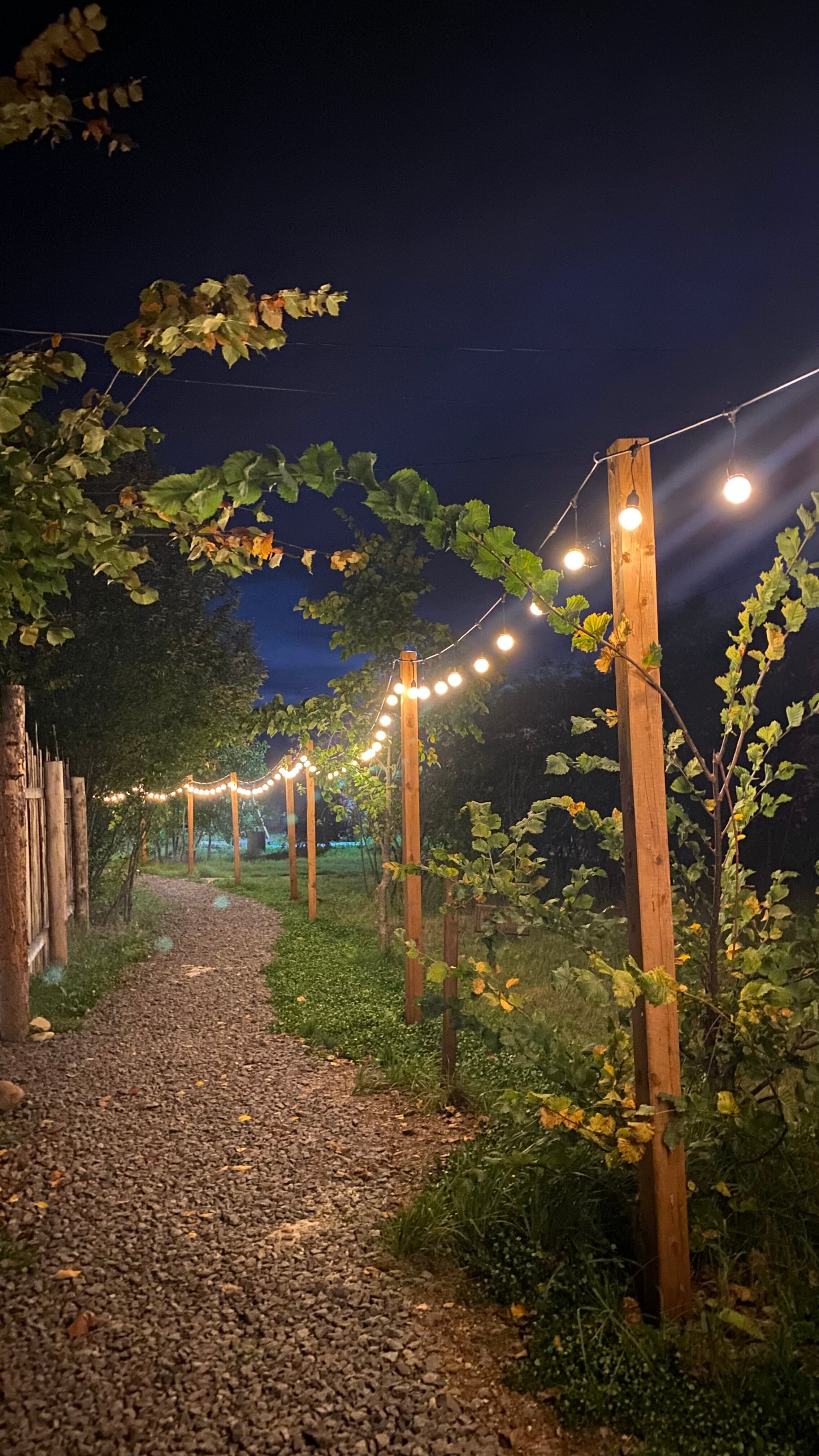 Фото Скандинавия