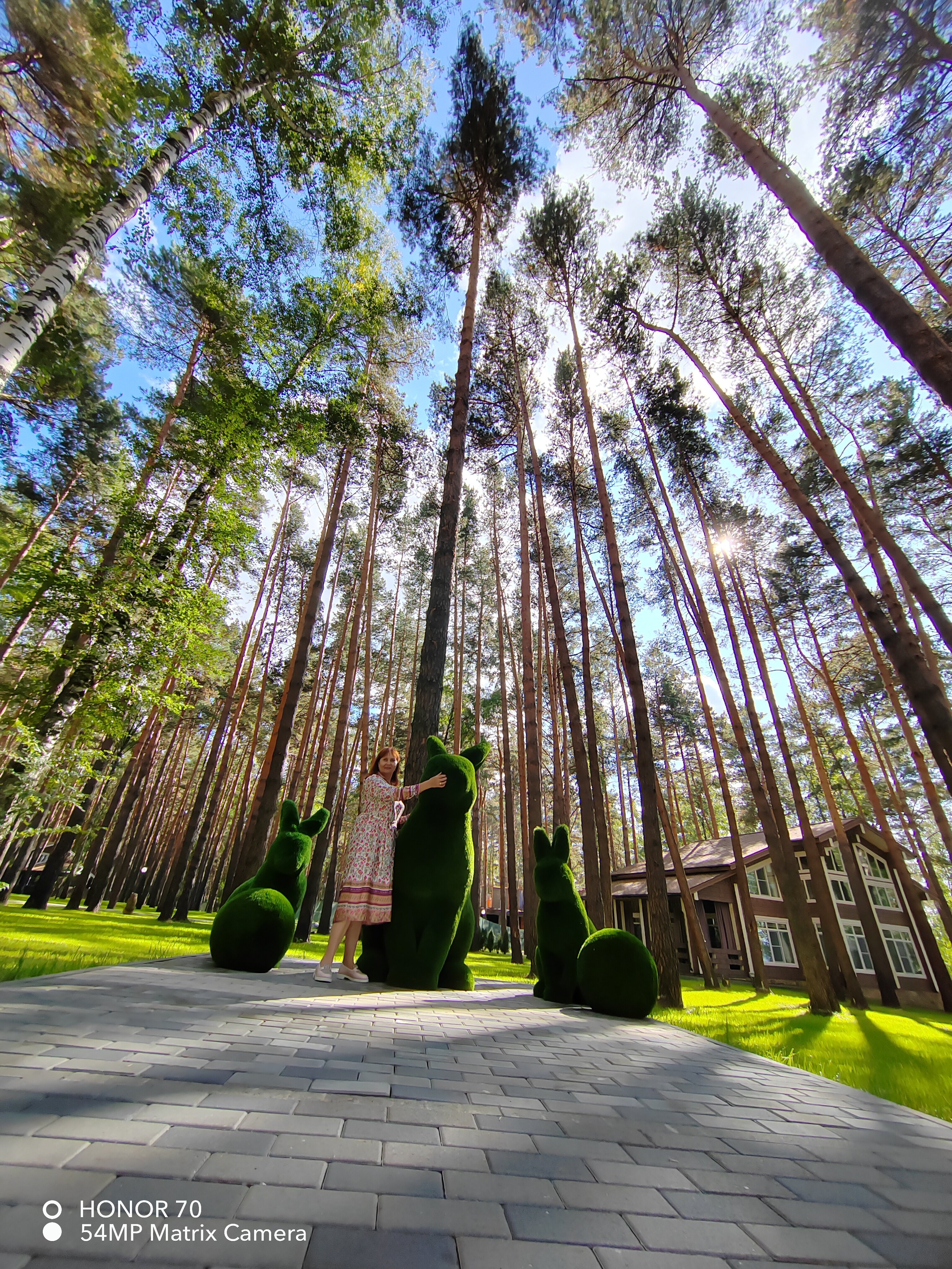 Фото Лукоморье