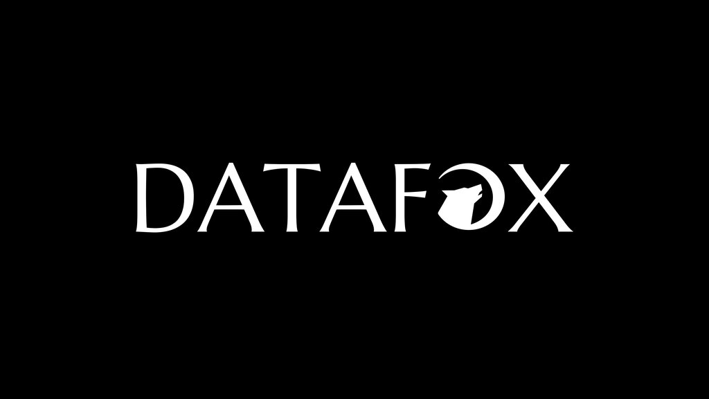 Software companies Datafox, Tashkent, photo