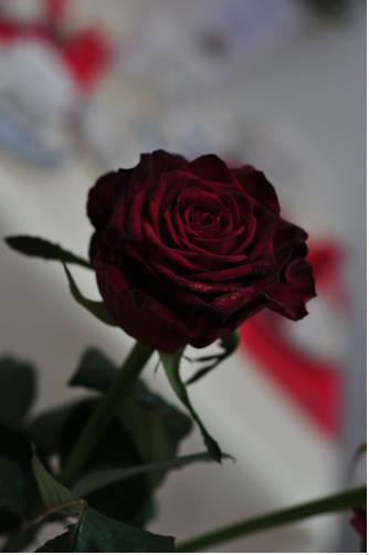 Фото Cerano City Hotel Koln Am Dom