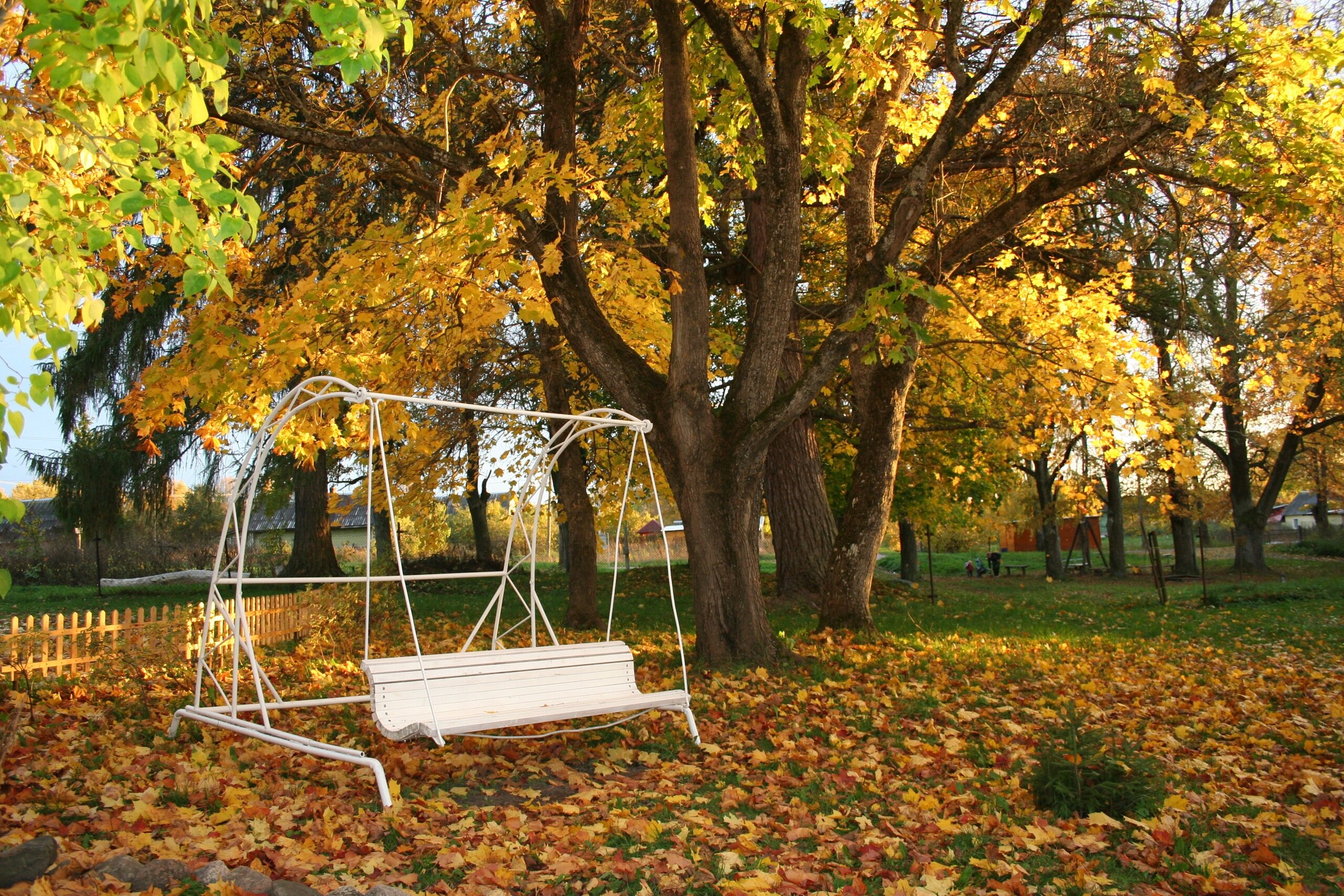 Фото Мишкина дача