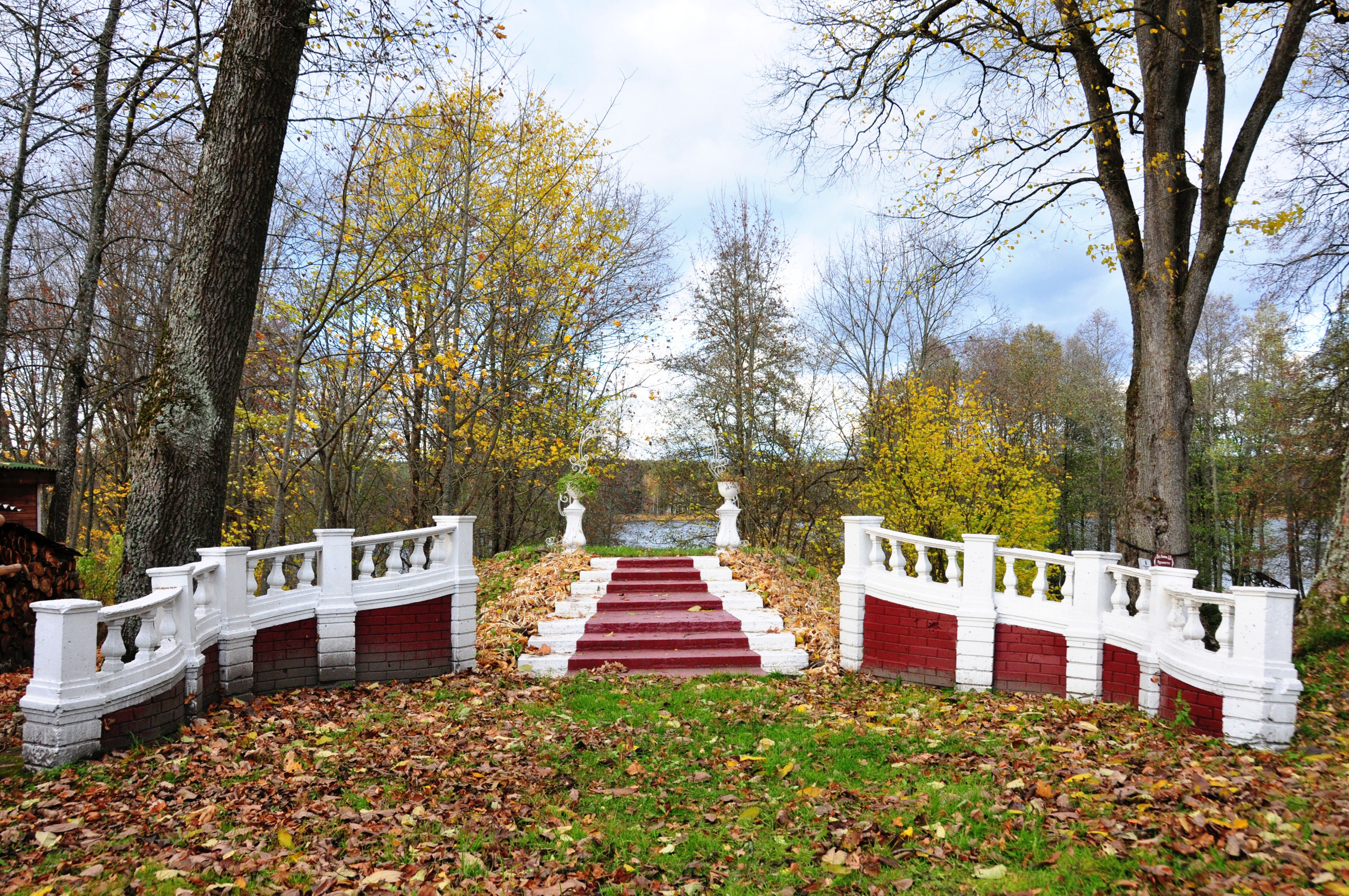 Фото Мишкина дача