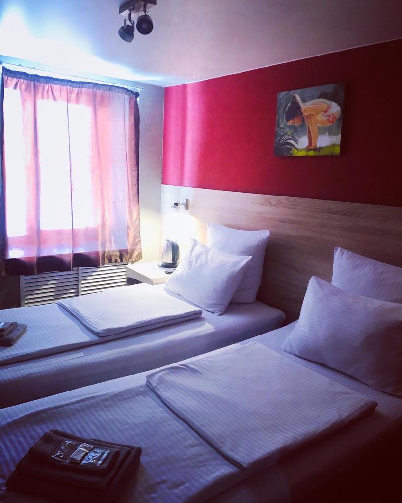 Фото Аврора