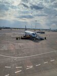 Aviaservice (Republic of Tatarstan, Tukaevskiy District, Begishevo Airport, 5), air cargo